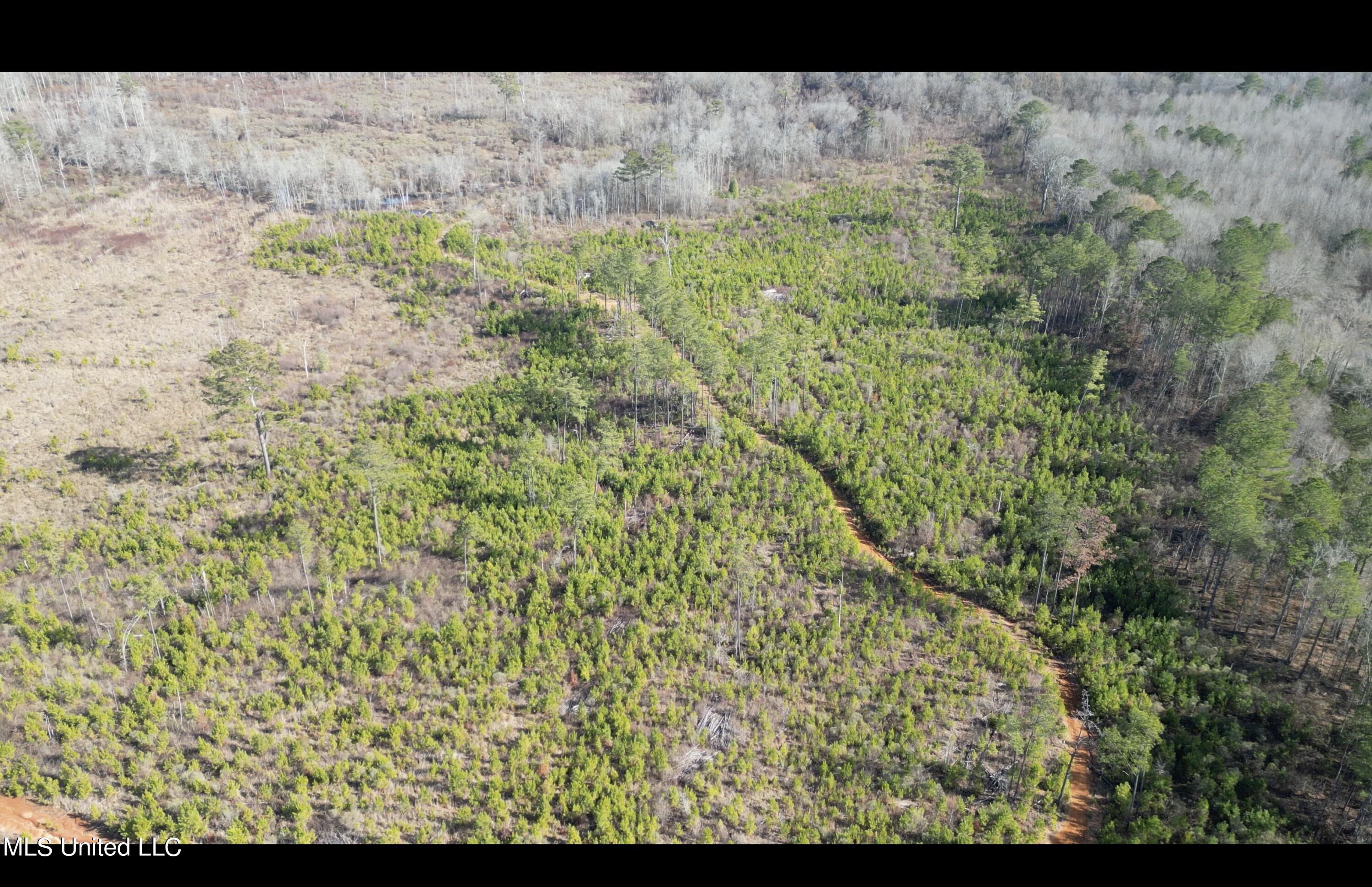 01 Highway 19 Property Photo 9