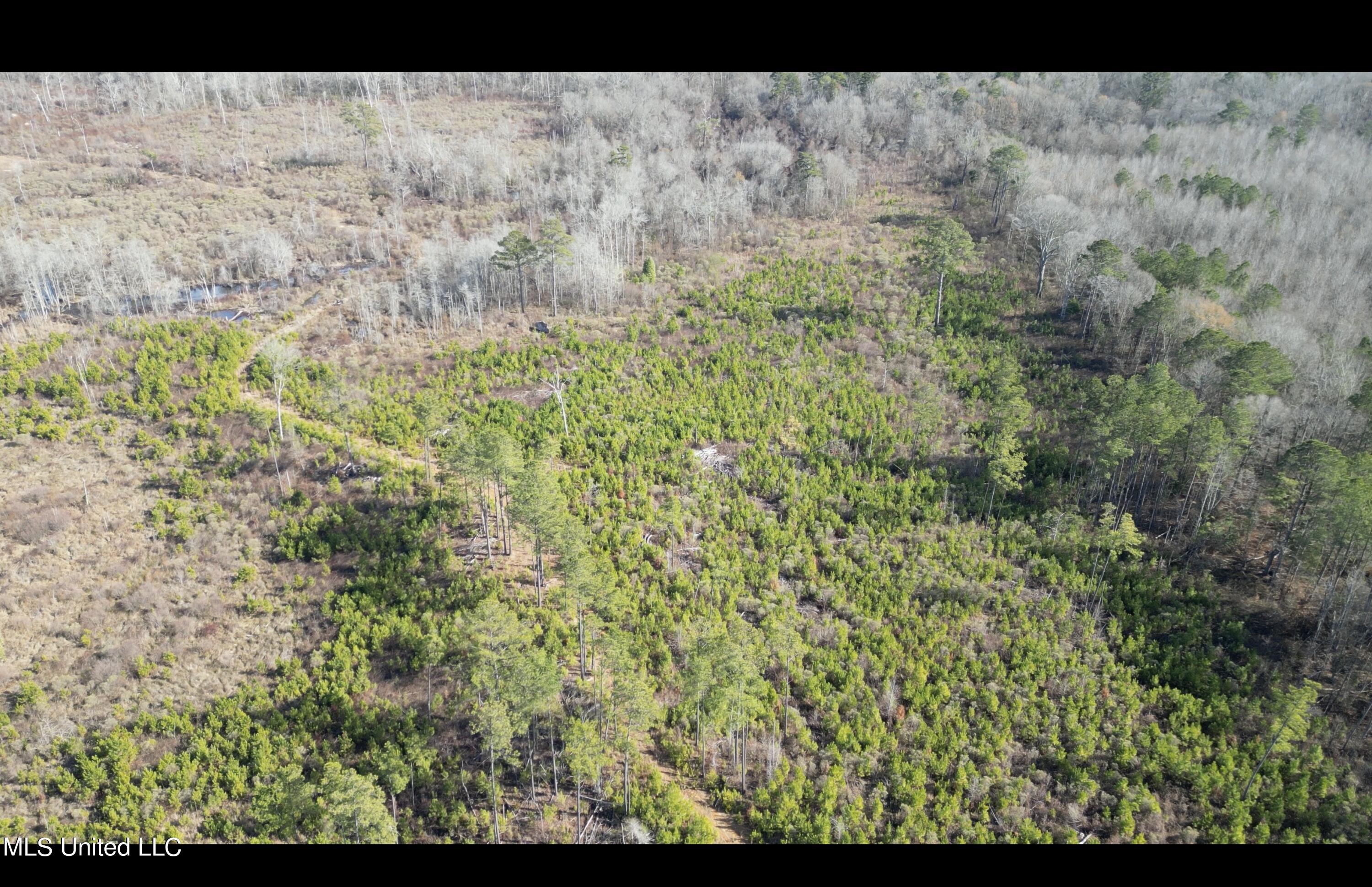 01 Highway 19 Property Photo 10