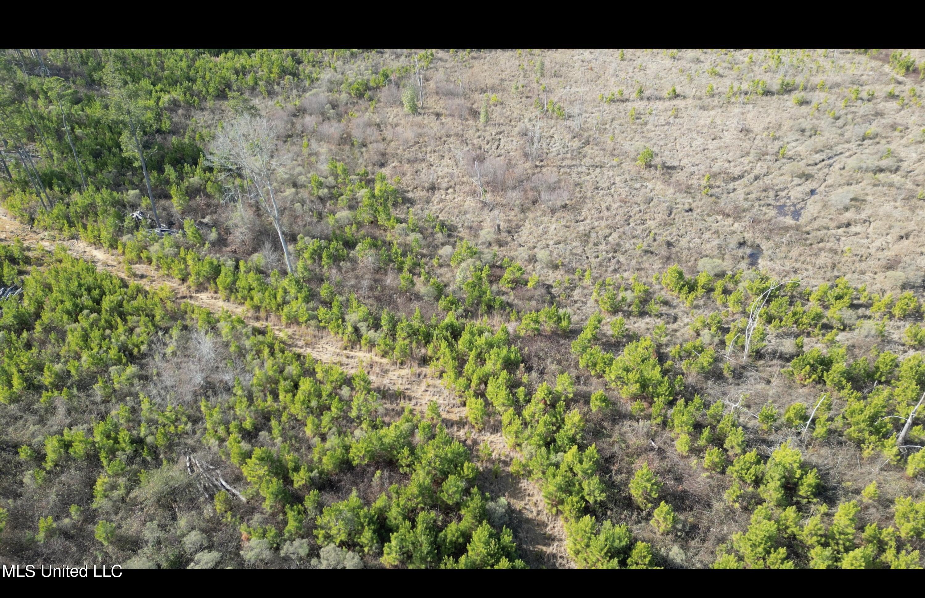 01 Highway 19 Property Photo 11