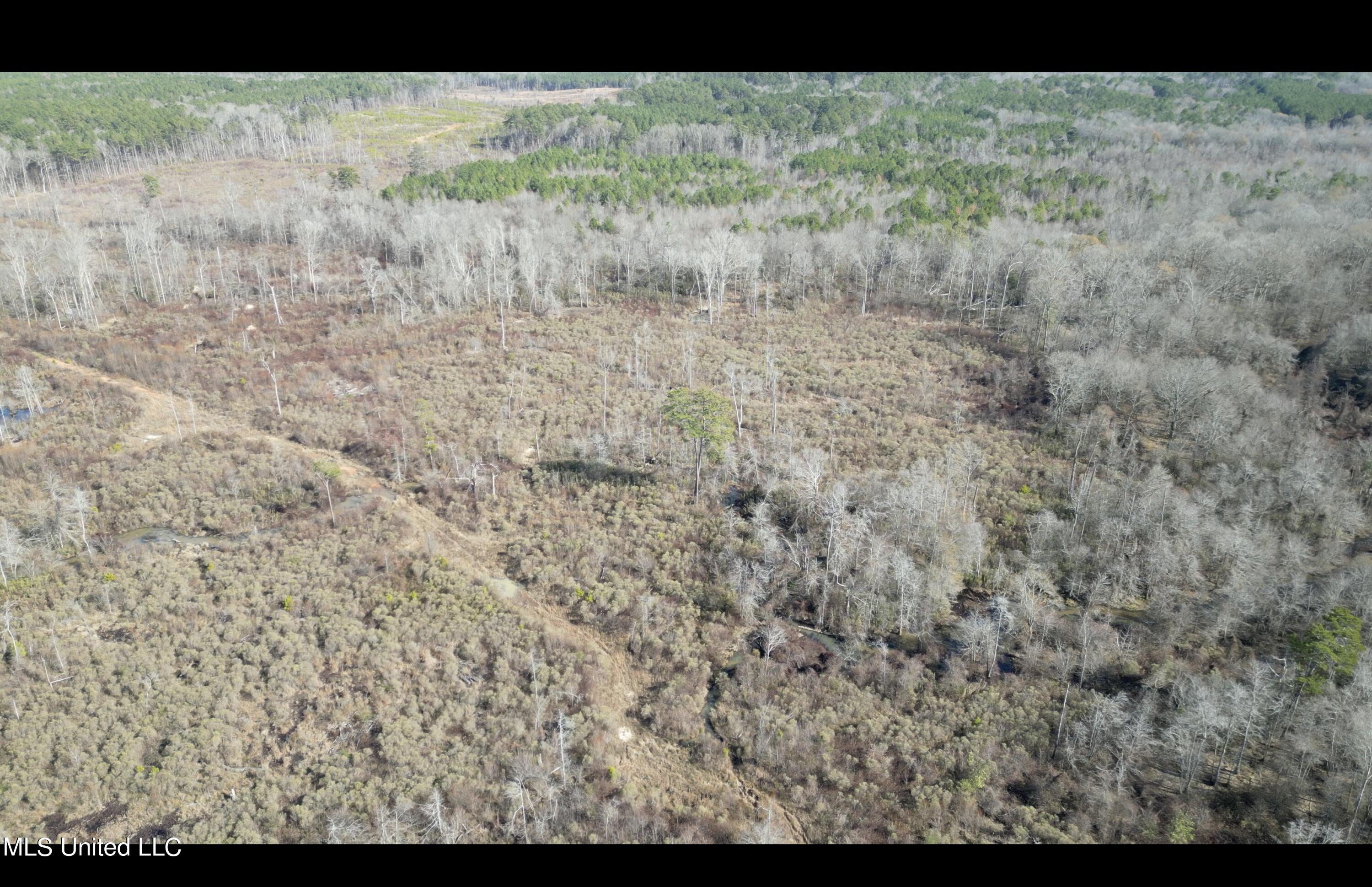 01 Highway 19 Property Photo 15