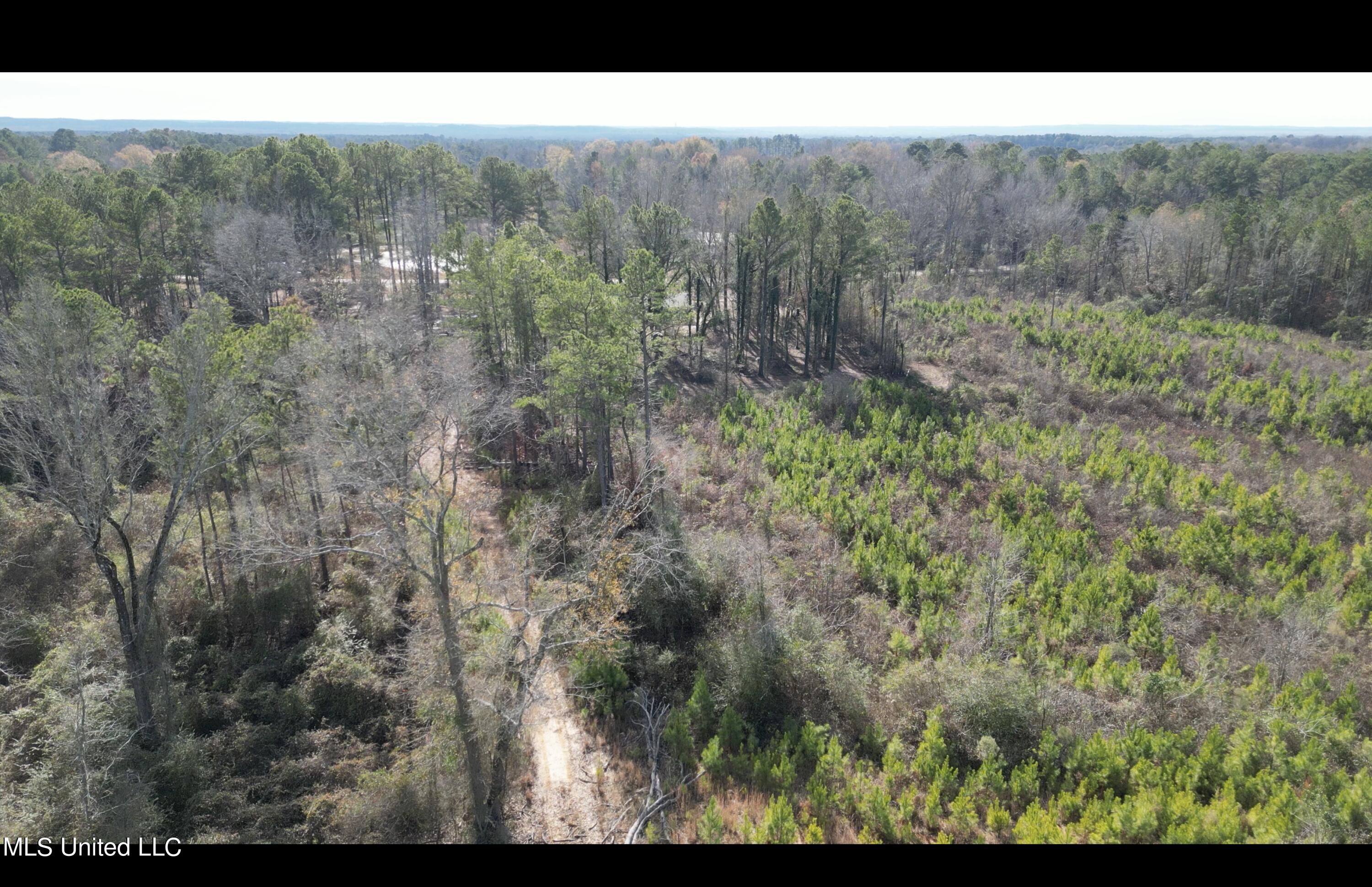 01 Highway 19 Property Photo 16