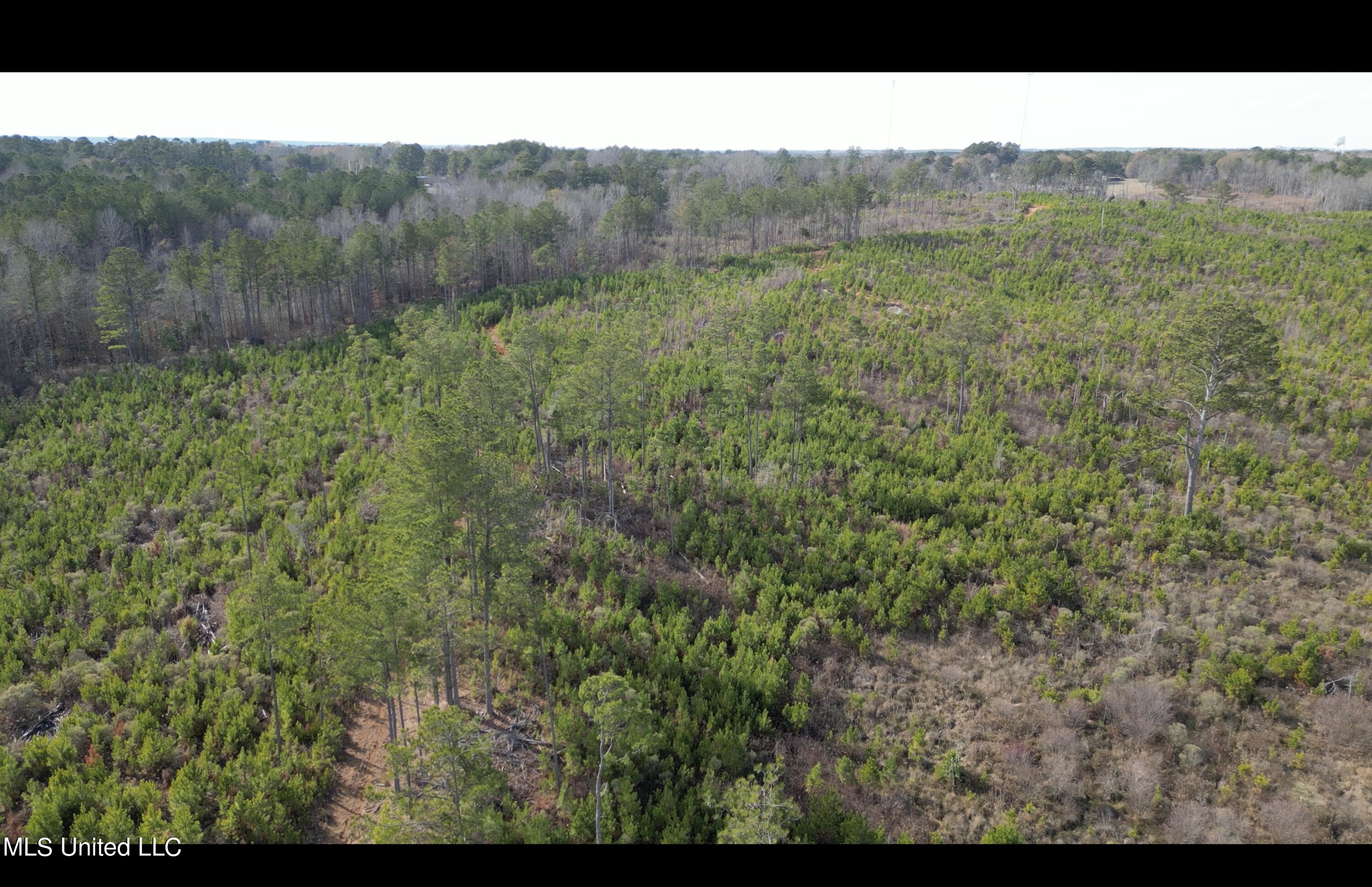 01 Highway 19 Property Photo 18