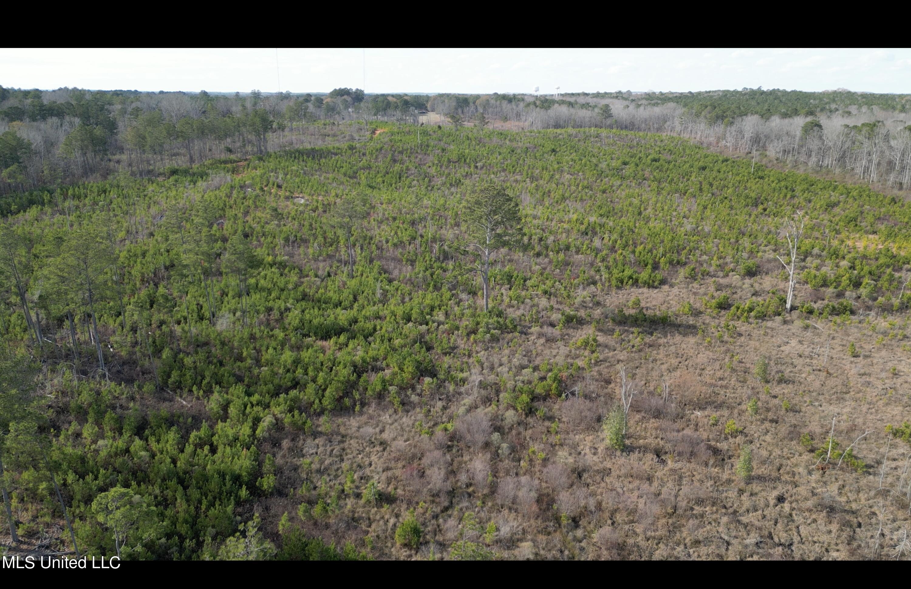 01 Highway 19 Property Photo 19