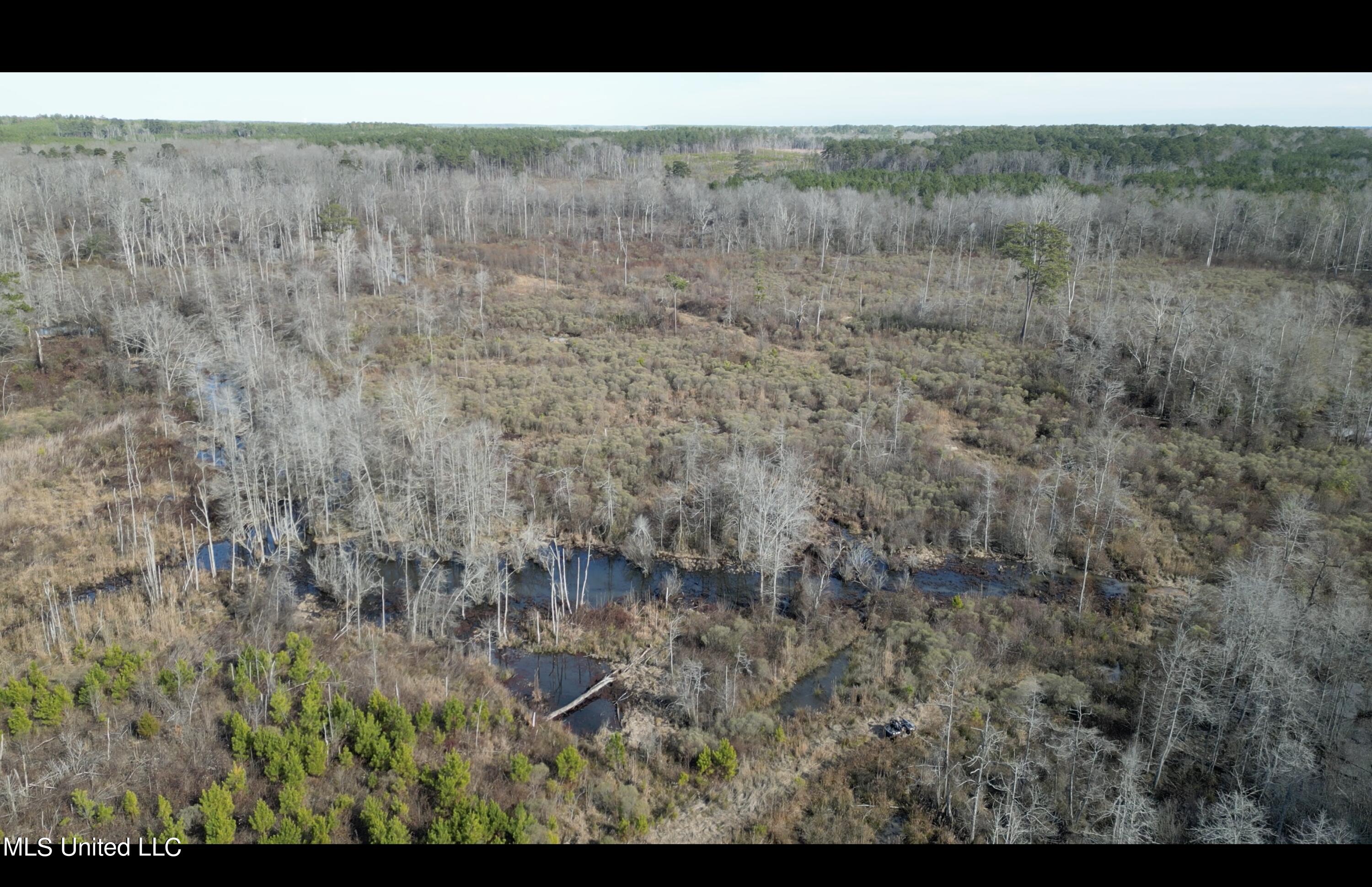 01 Highway 19 Property Photo 20