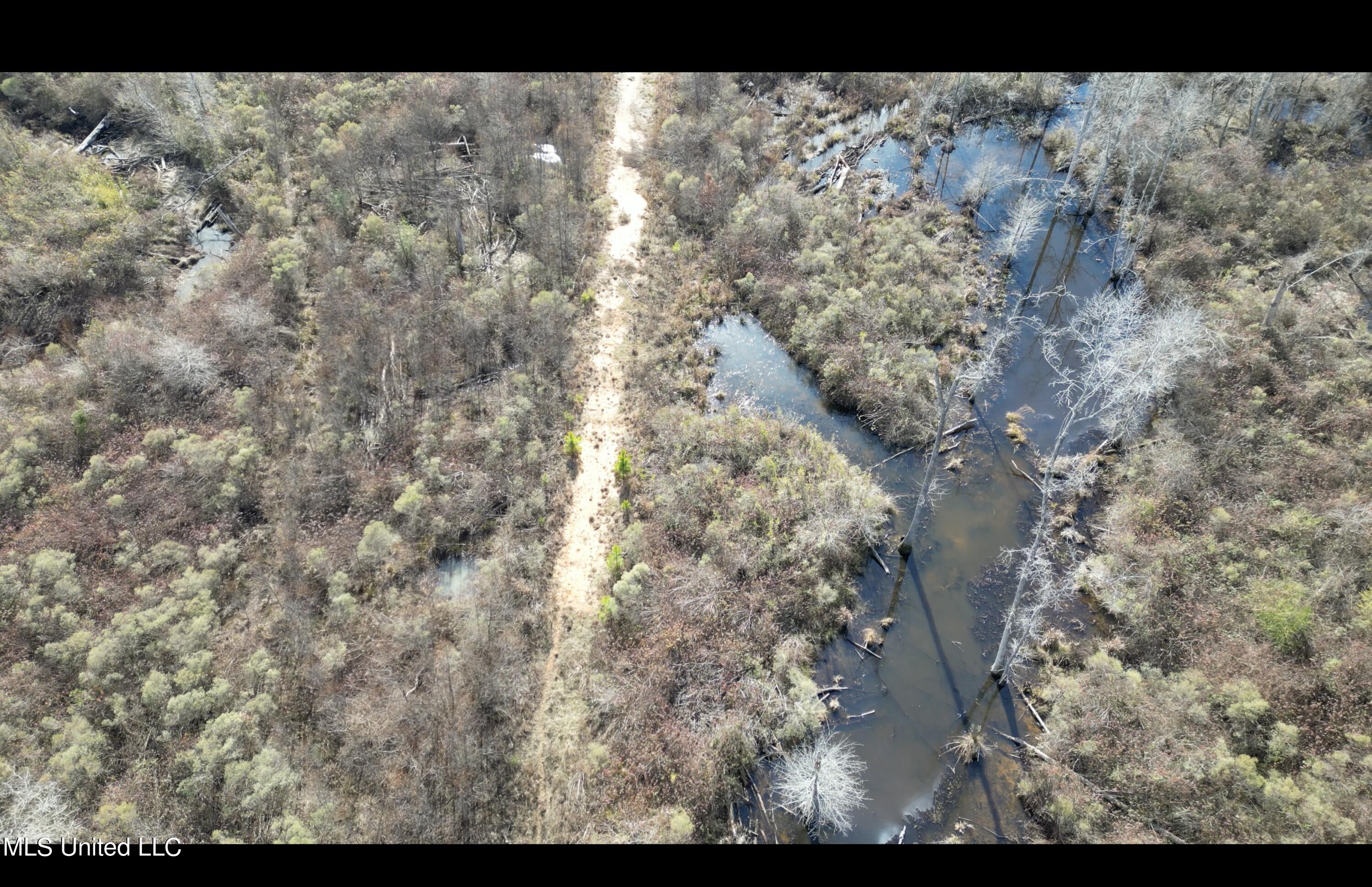 01 Highway 19 Property Photo 21