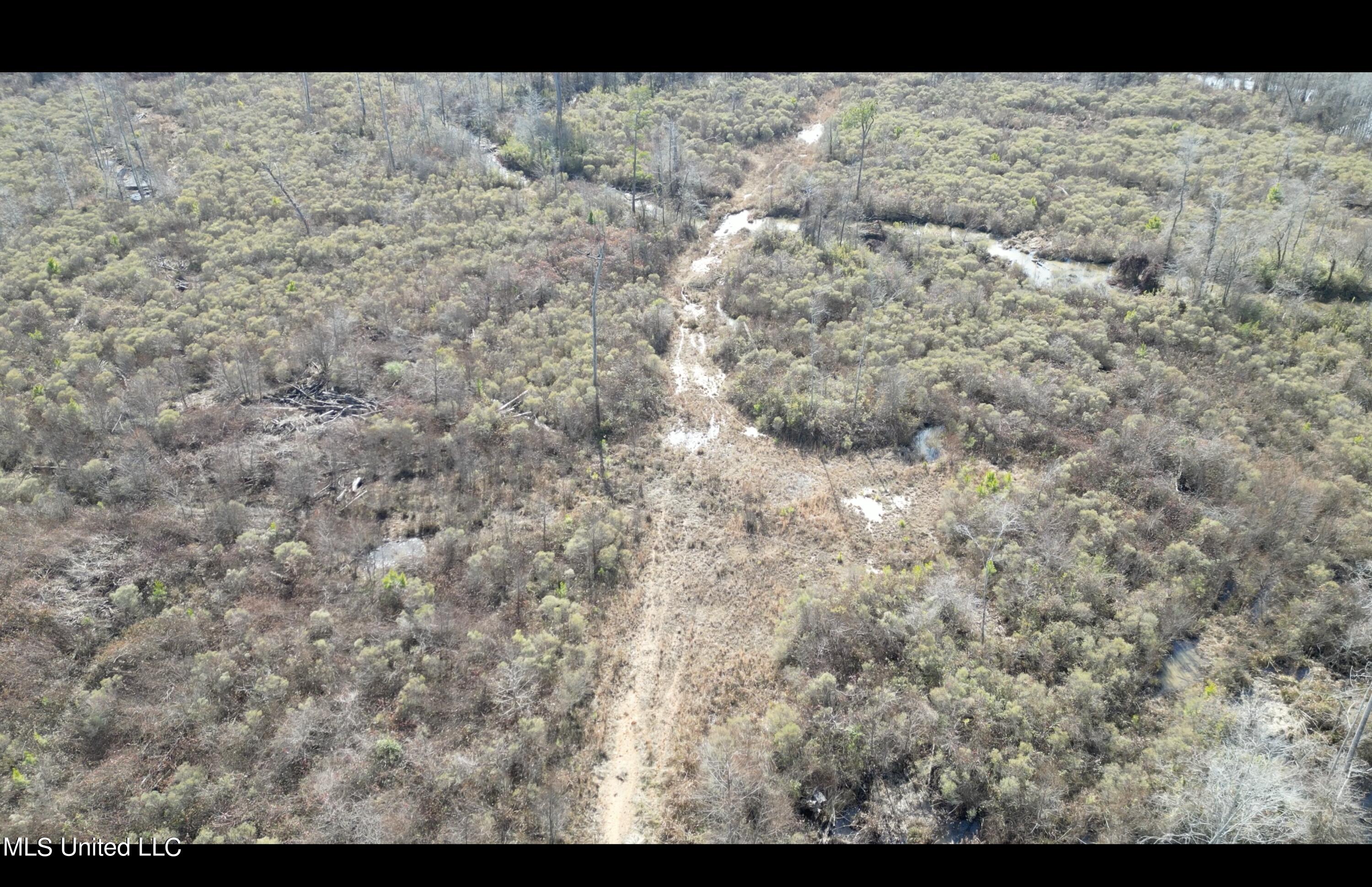 01 Highway 19 Property Photo 22