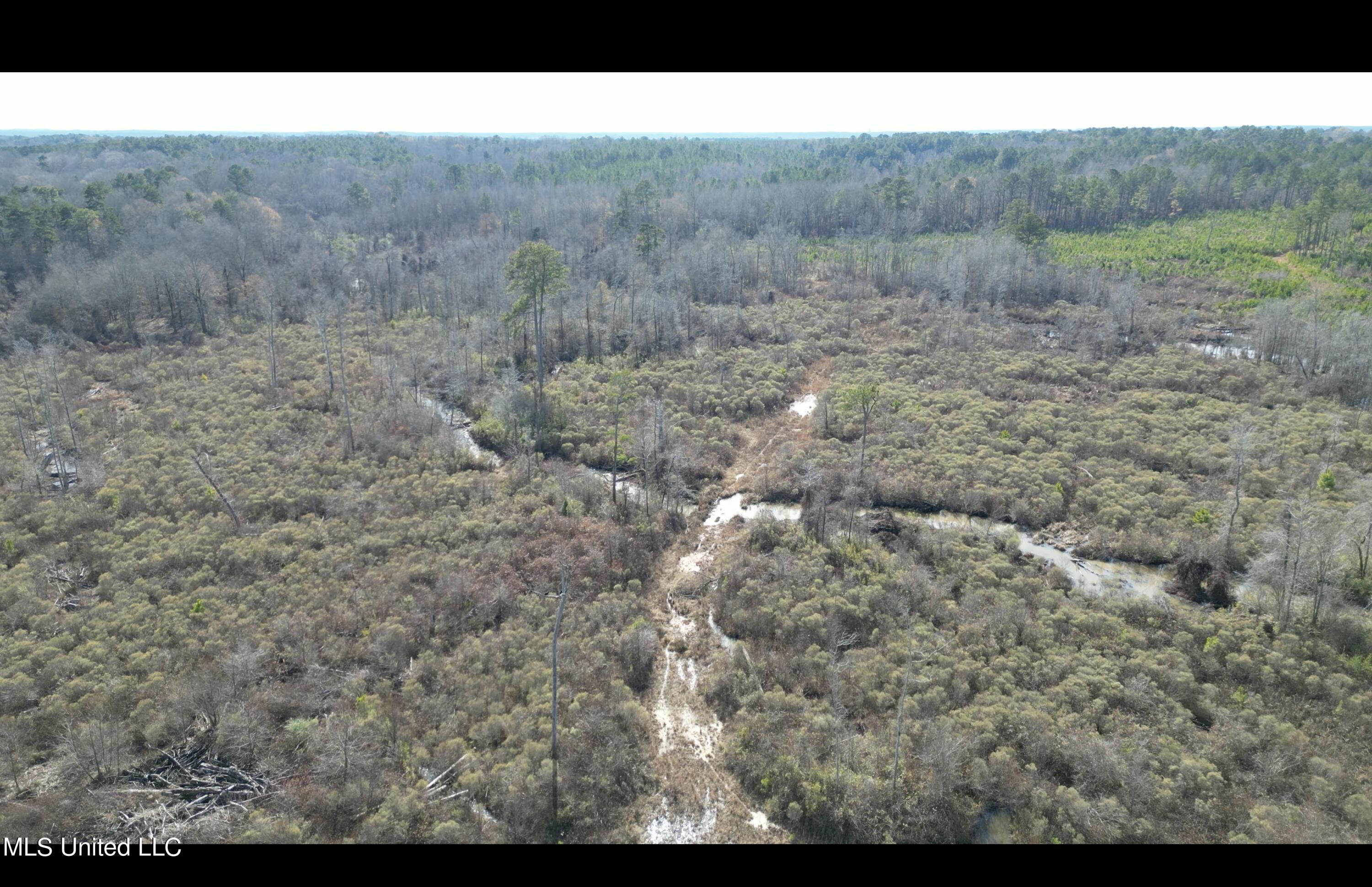 01 Highway 19 Property Photo 23