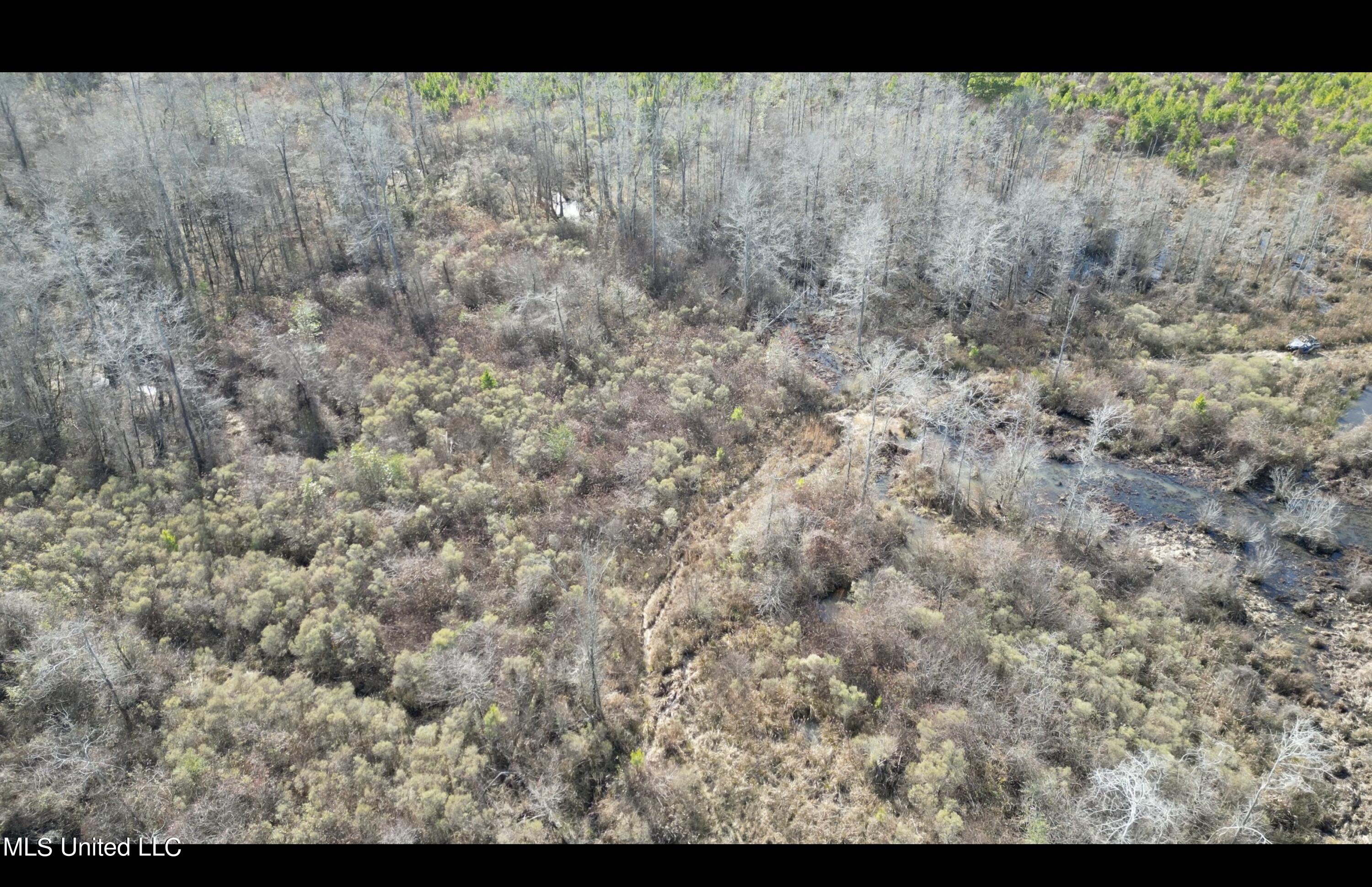 01 Highway 19 Property Photo 24