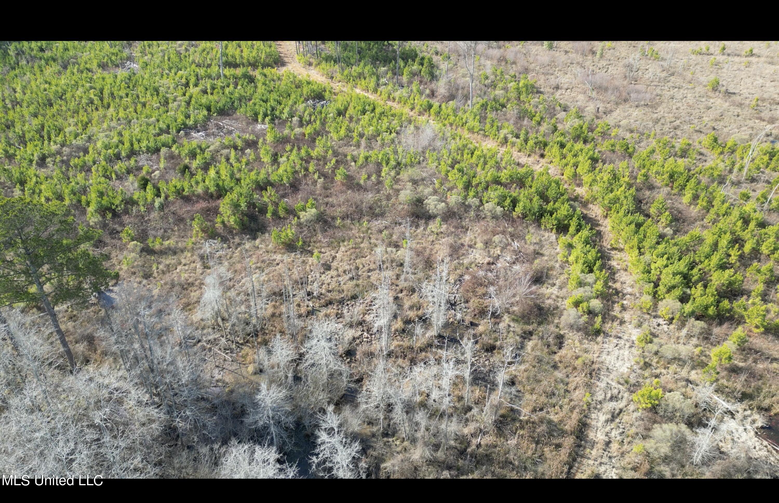 01 Highway 19 Property Photo 25