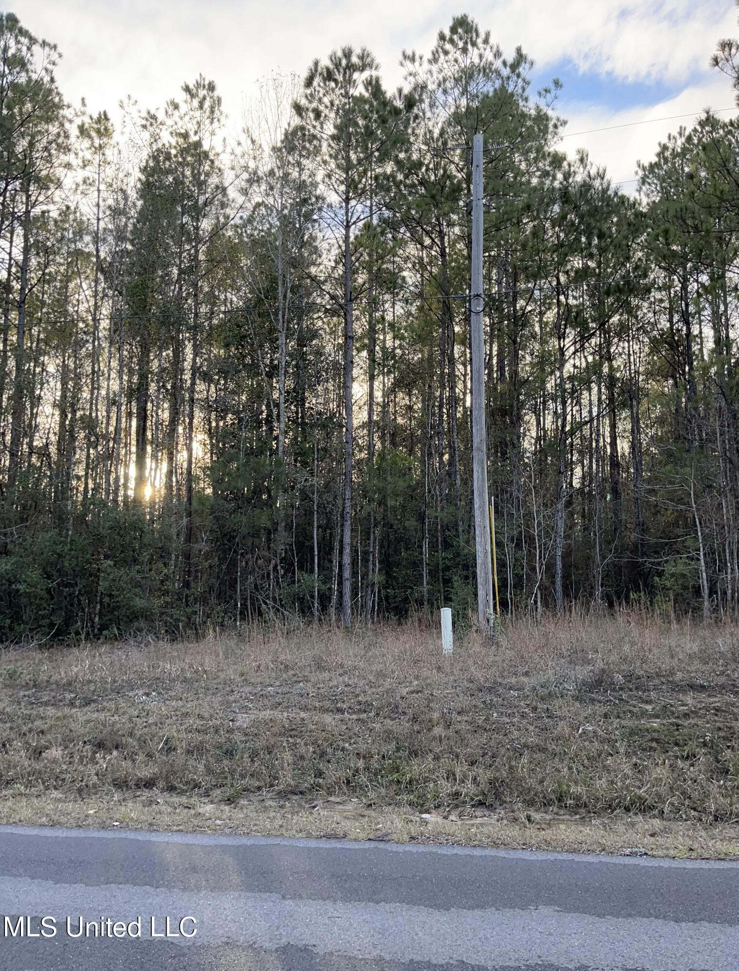 S Leetown And Highway 43 Highway Property Photo 9