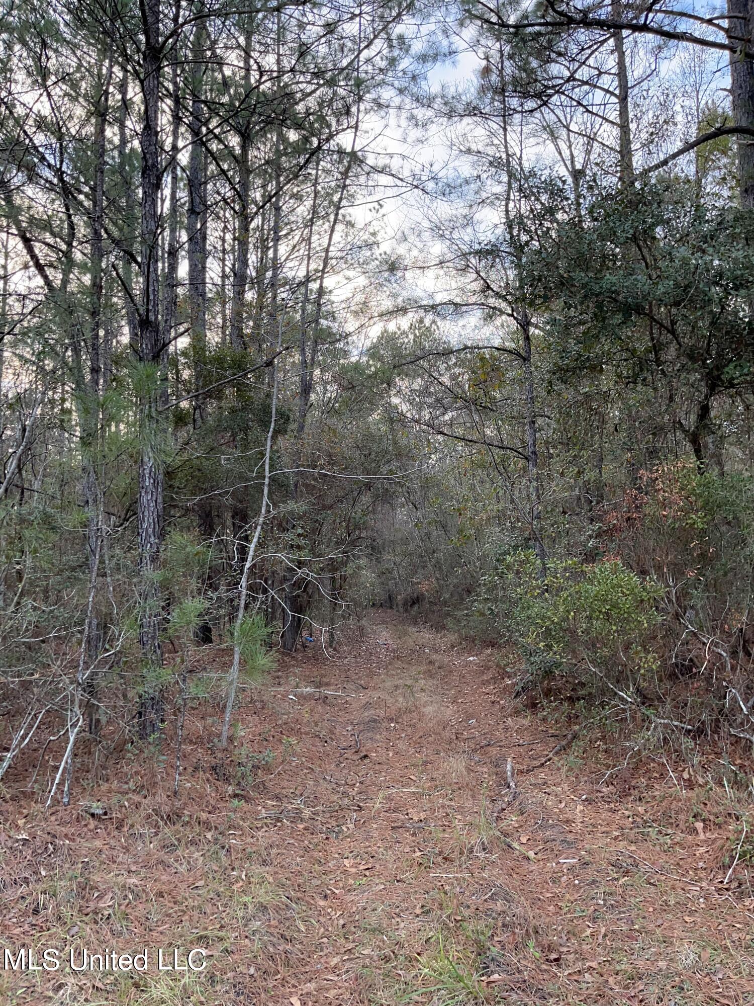 S Leetown And Highway 43 Highway Property Photo 10