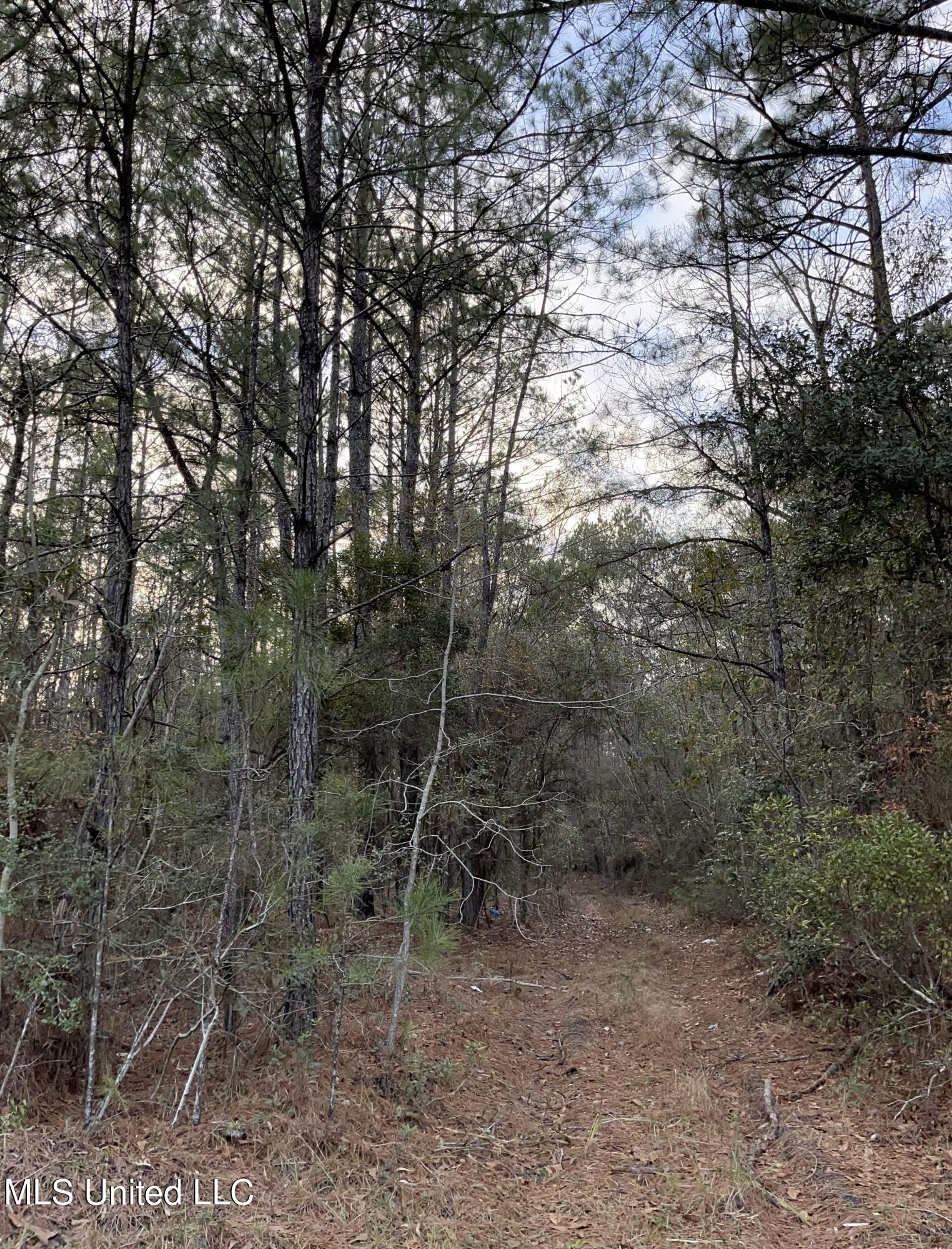 S Leetown And Highway 43 Highway Property Photo 11