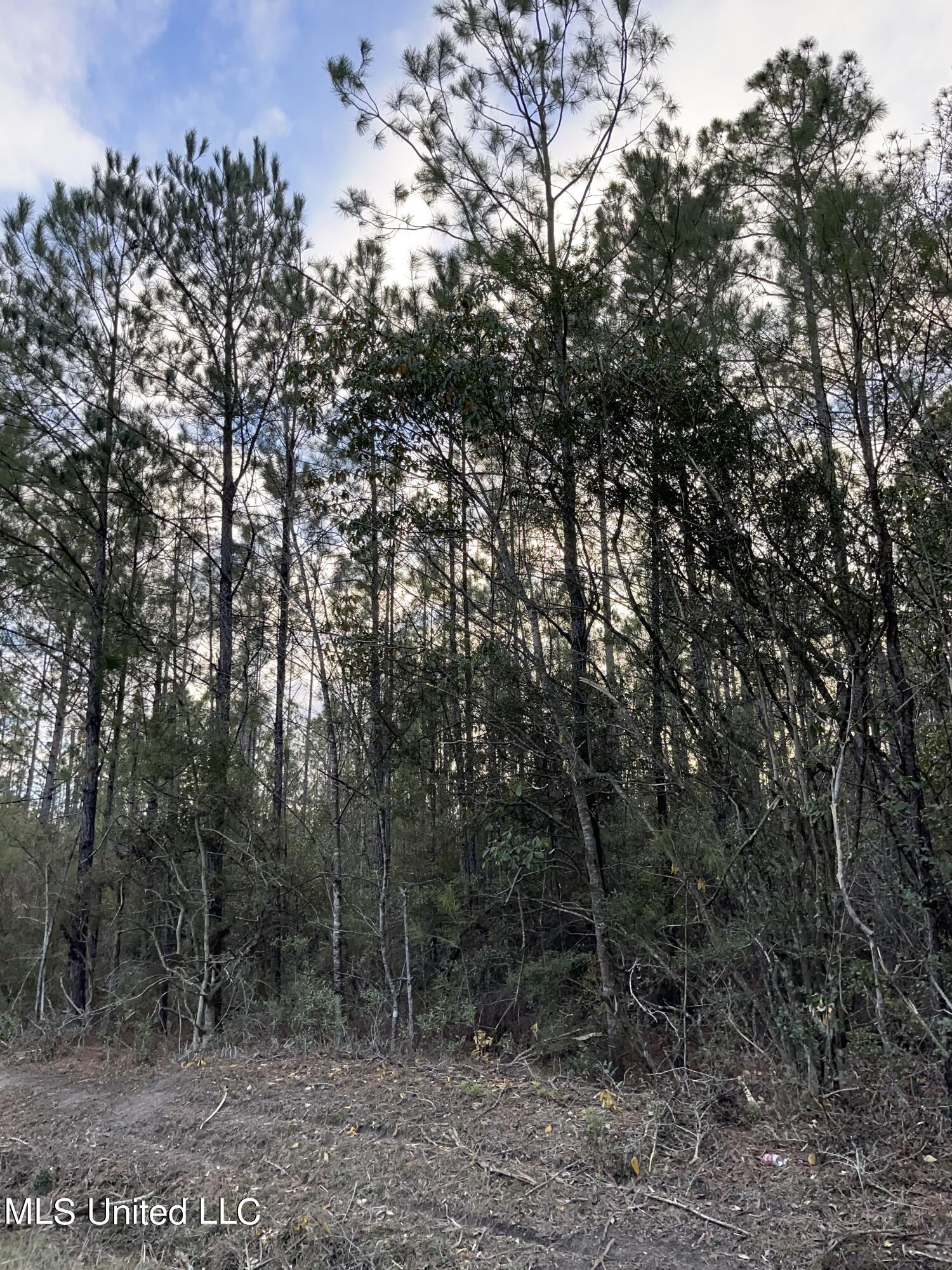 S Leetown And Highway 43 Highway Property Photo 12