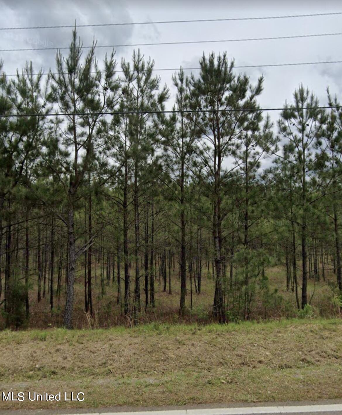 Old Whitfield Road Property Photo 3