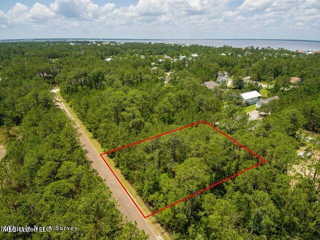 Lot 54&55 Wood Street Property Photo 11