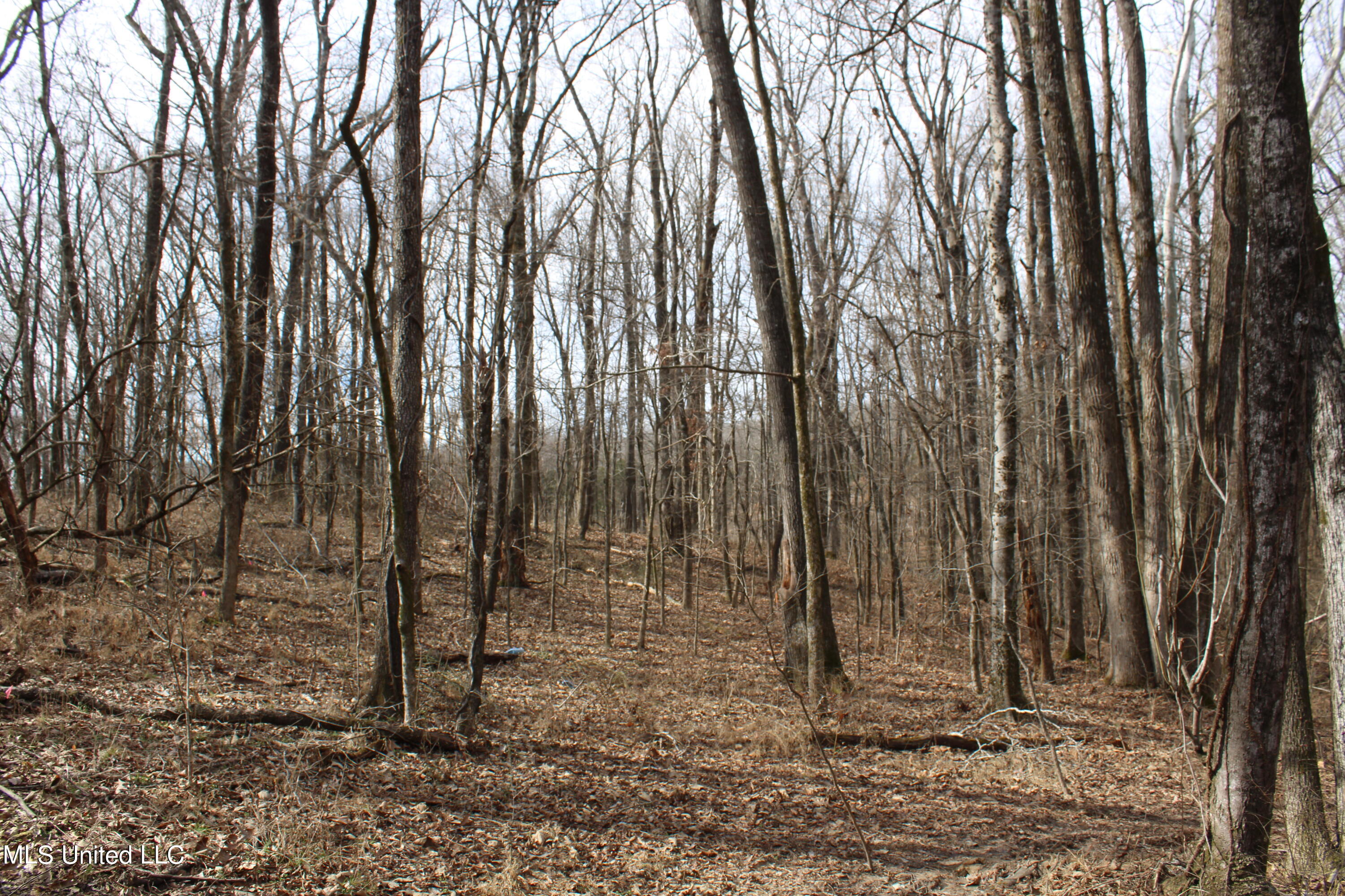 2167 Hogan Road Property Photo 1