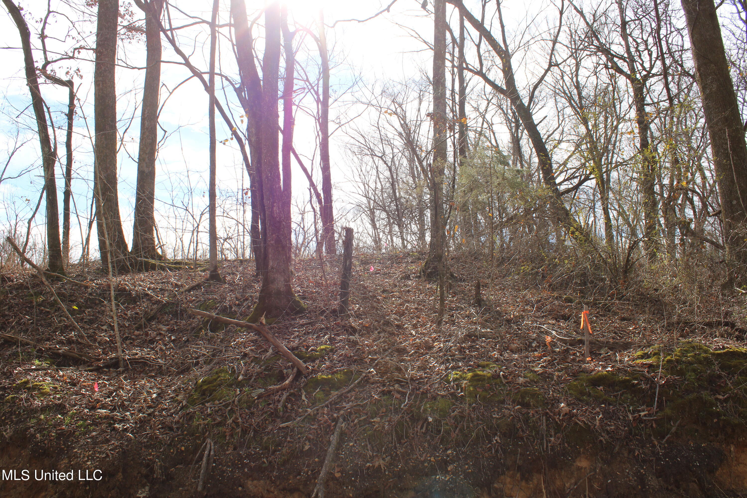 2167 Hogan Road Property Photo 2