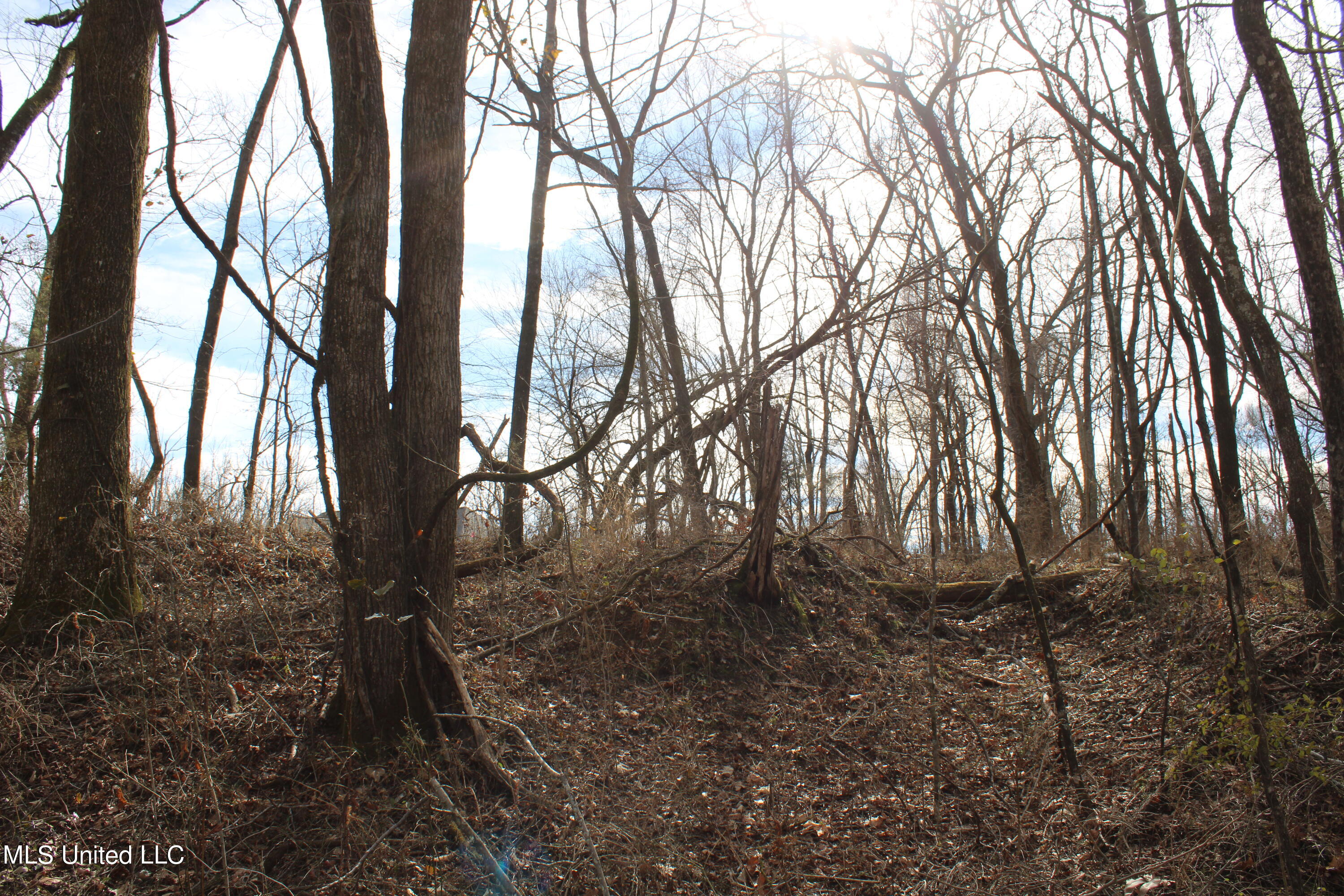 2167 Hogan Road Property Photo 4