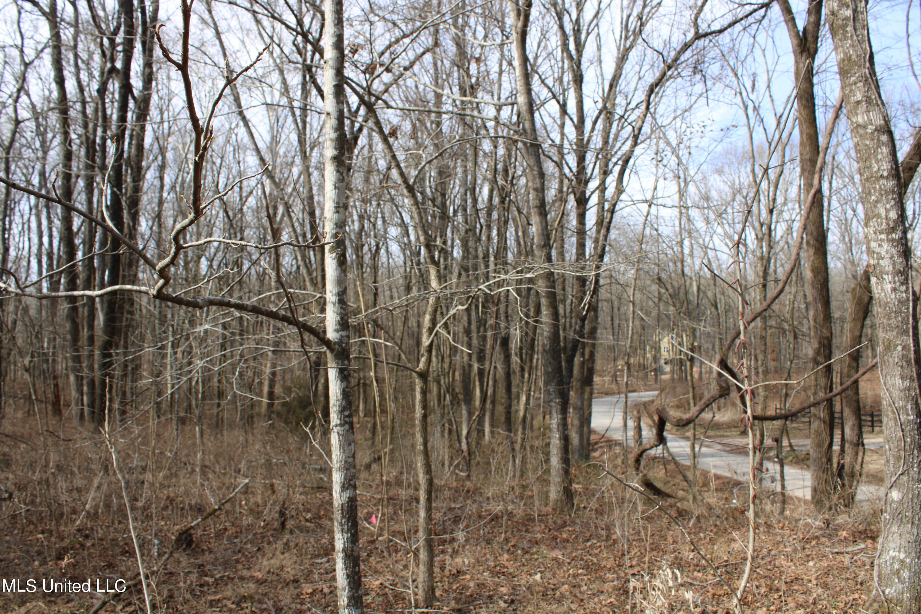 2167 Hogan Road Property Photo 5