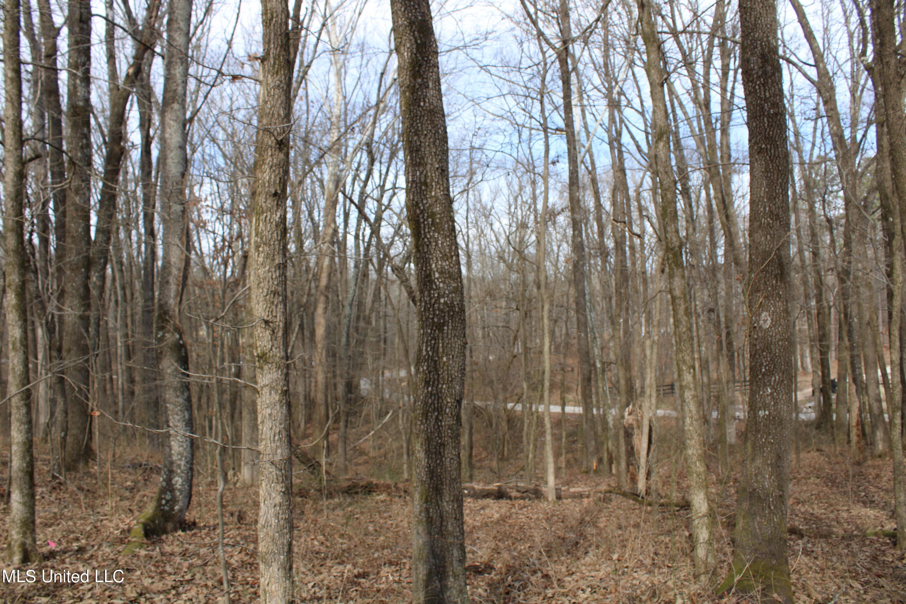 2167 Hogan Road Property Photo 7