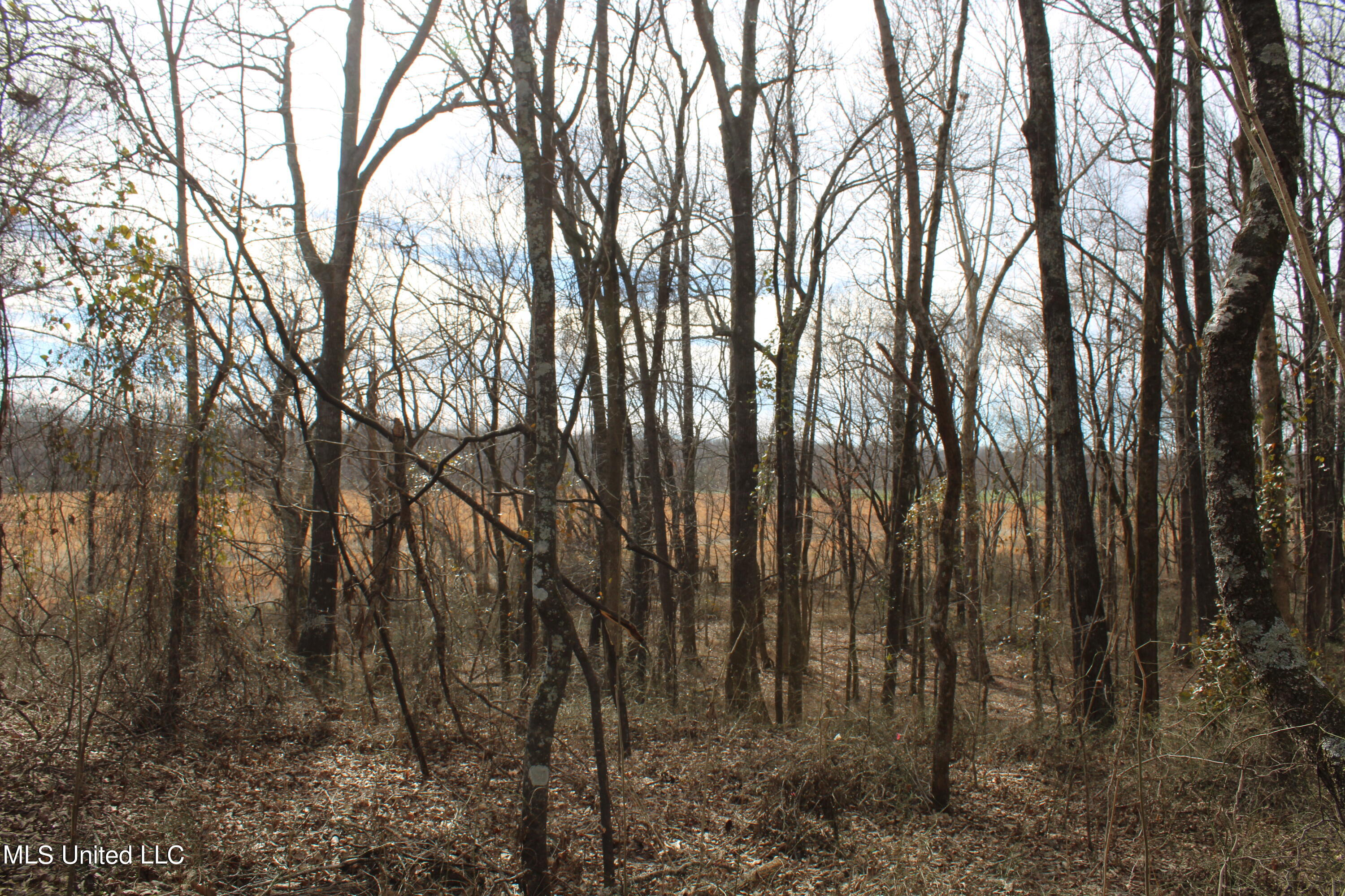 2167 Hogan Road Property Photo 8