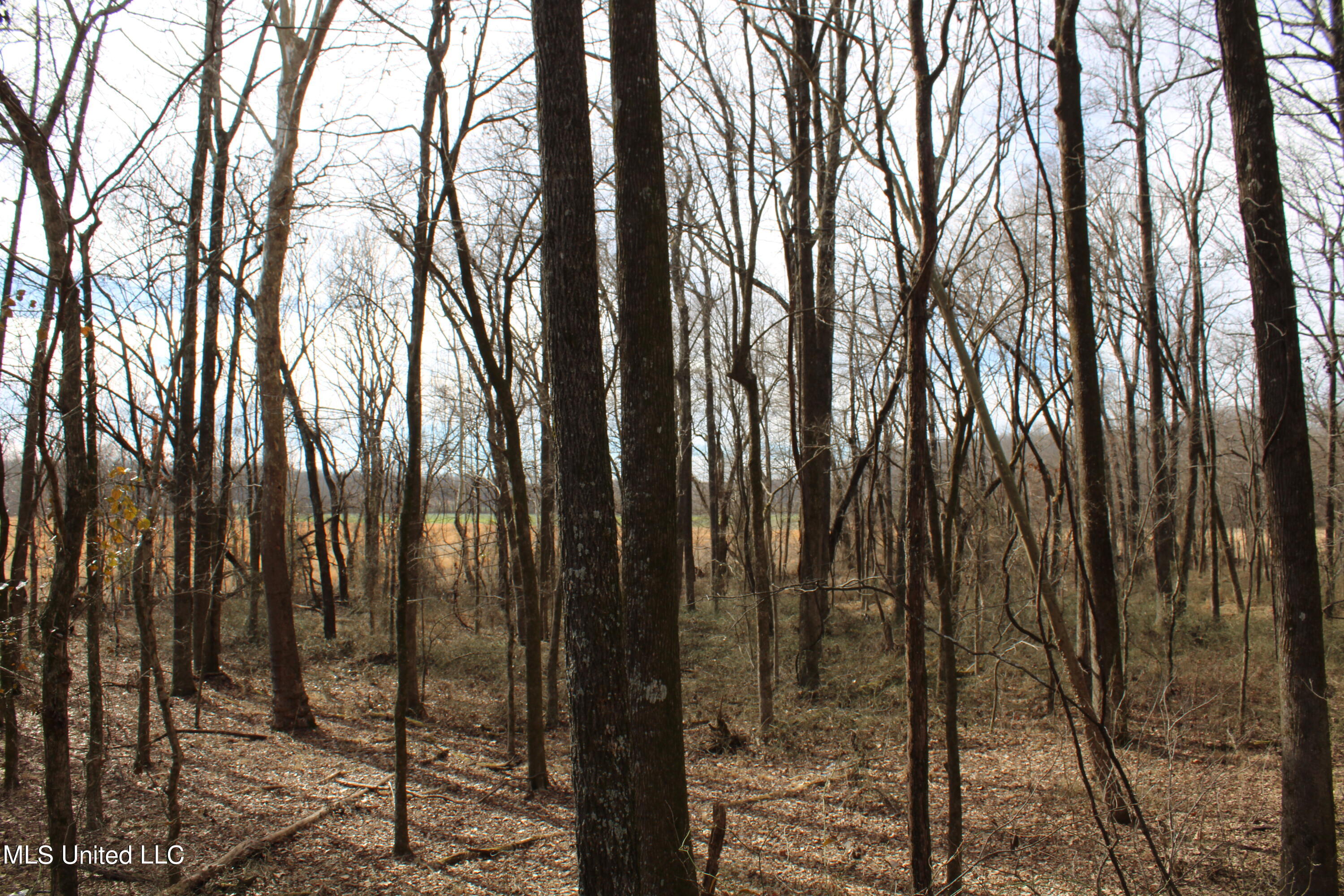2167 Hogan Road Property Photo 9