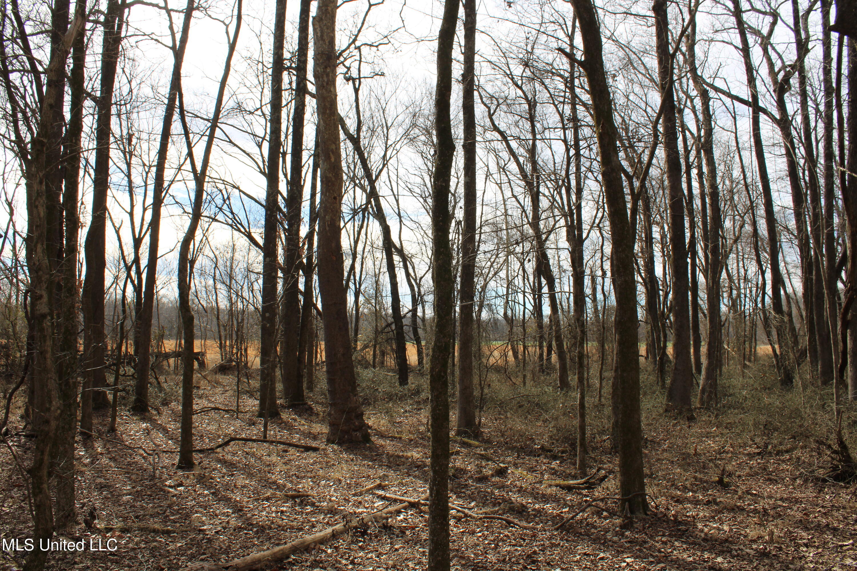 2167 Hogan Road Property Photo 10