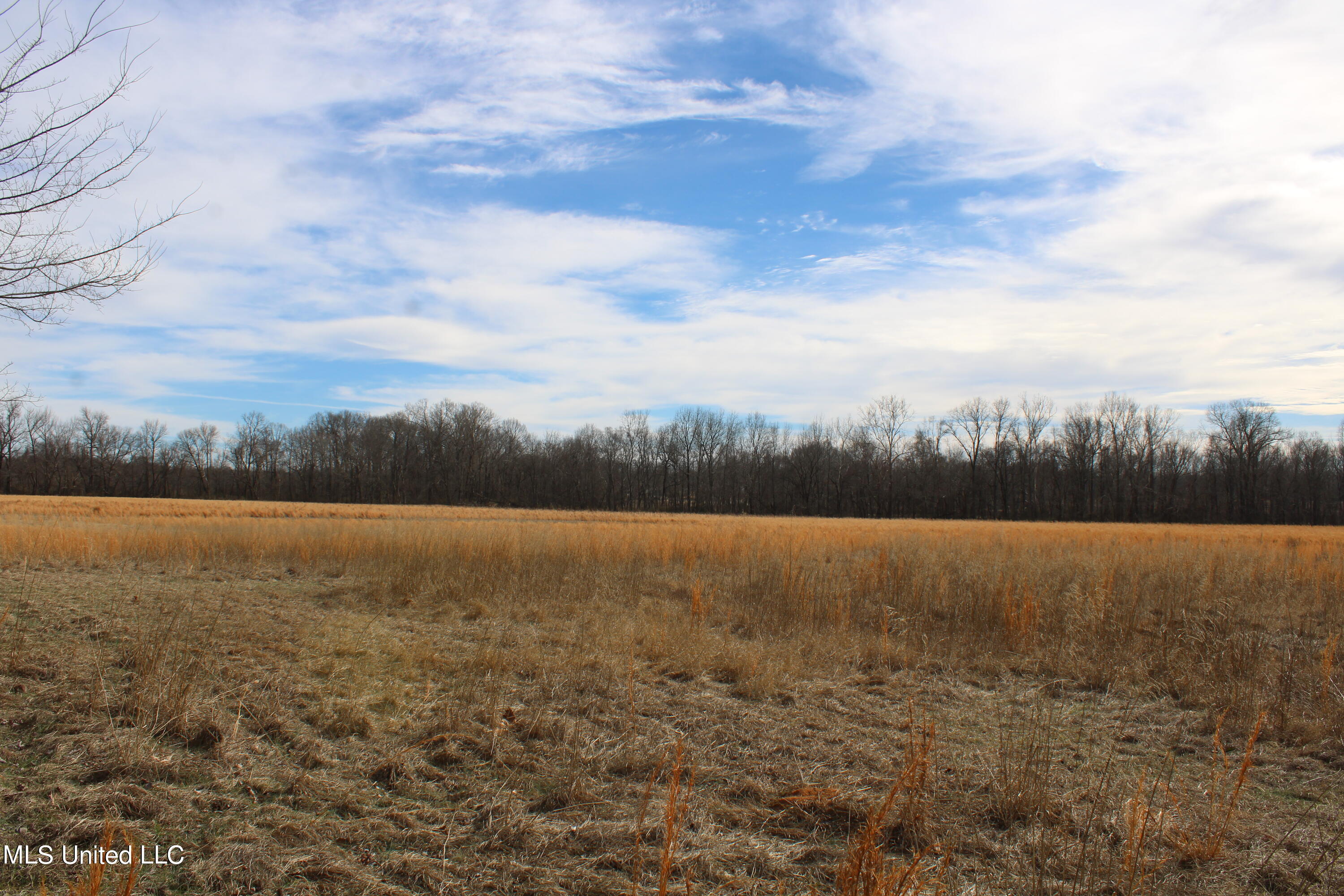 2167 Hogan Road Property Photo 11