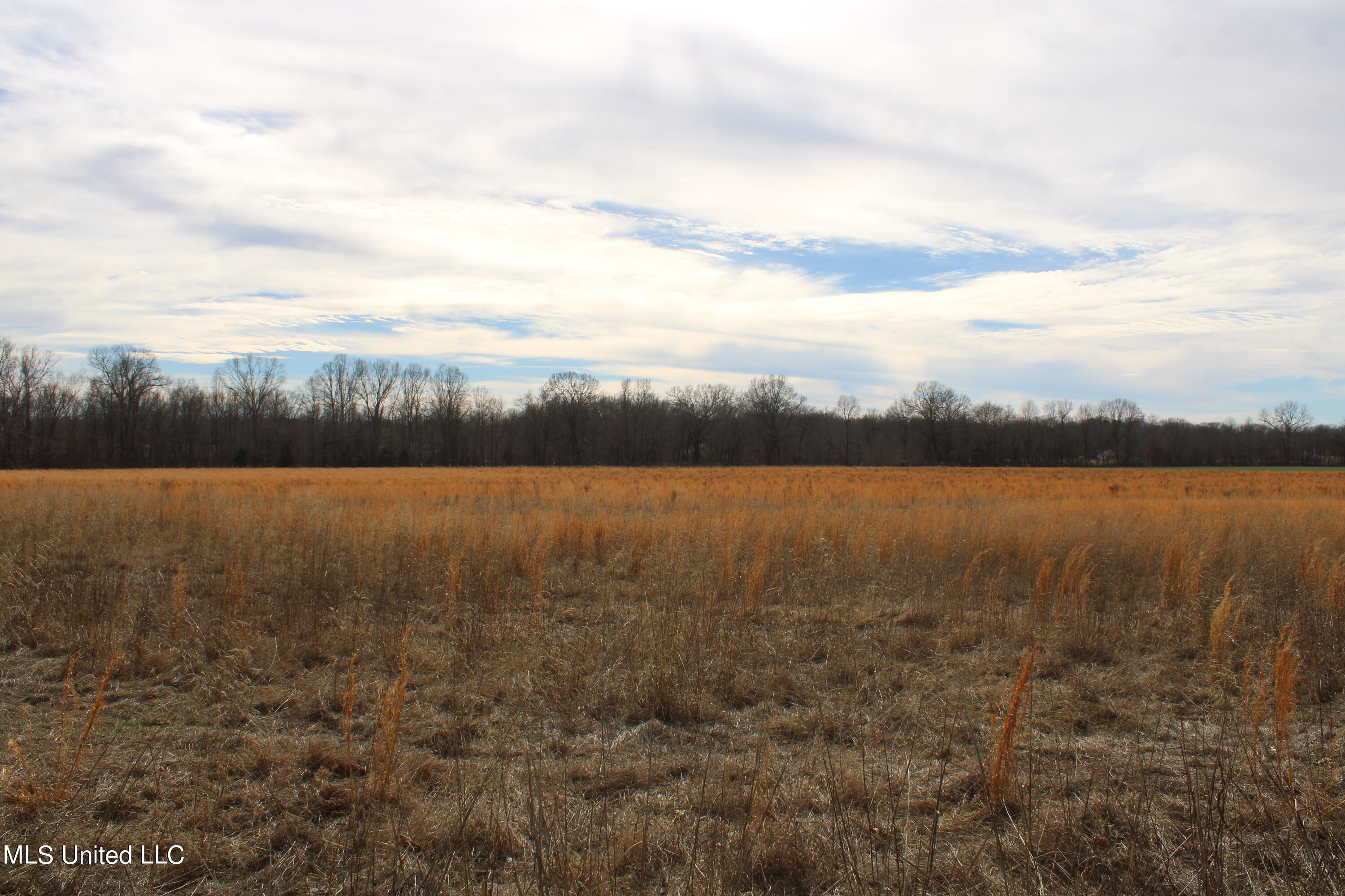 2167 Hogan Road Property Photo 12