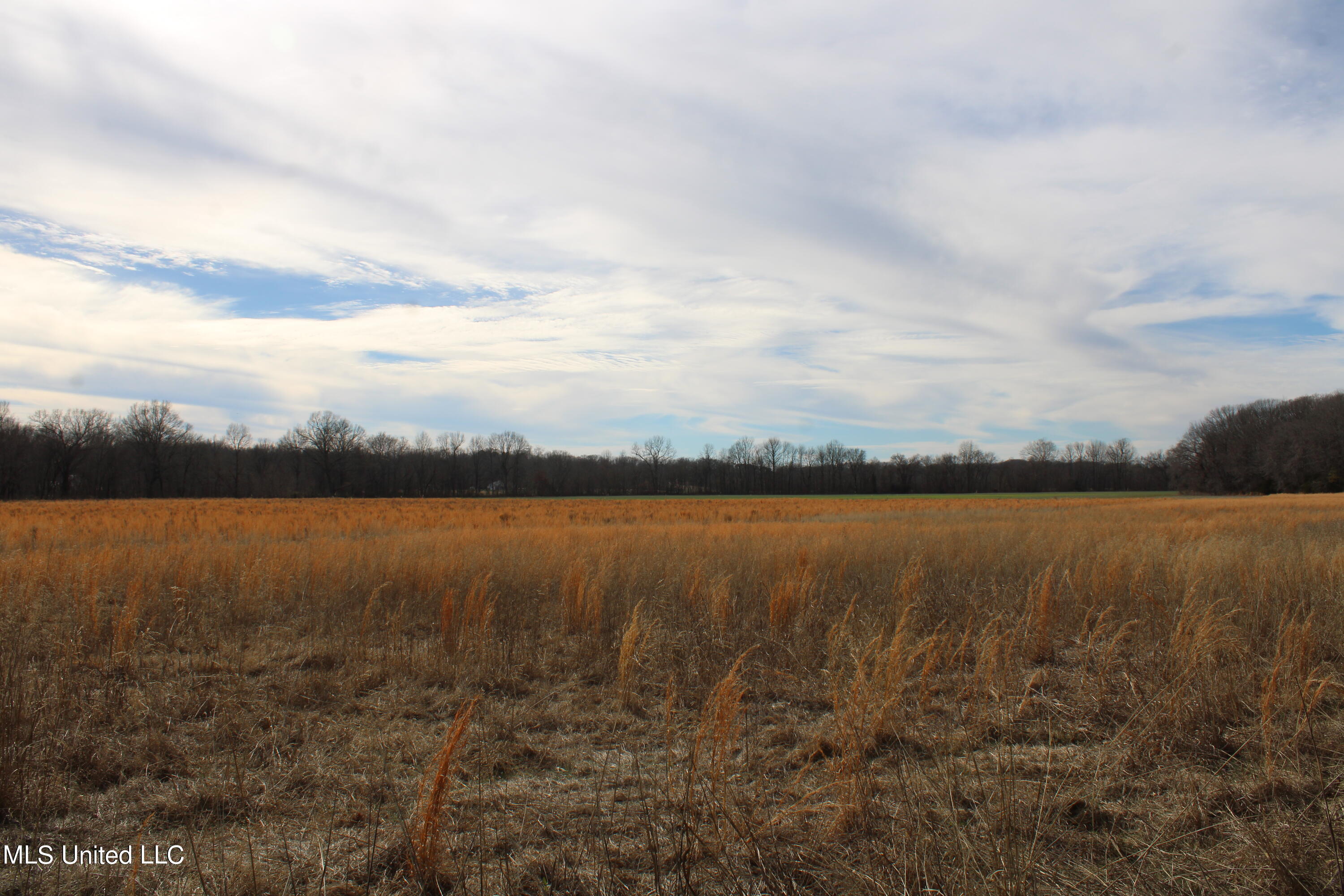 2167 Hogan Road Property Photo 13
