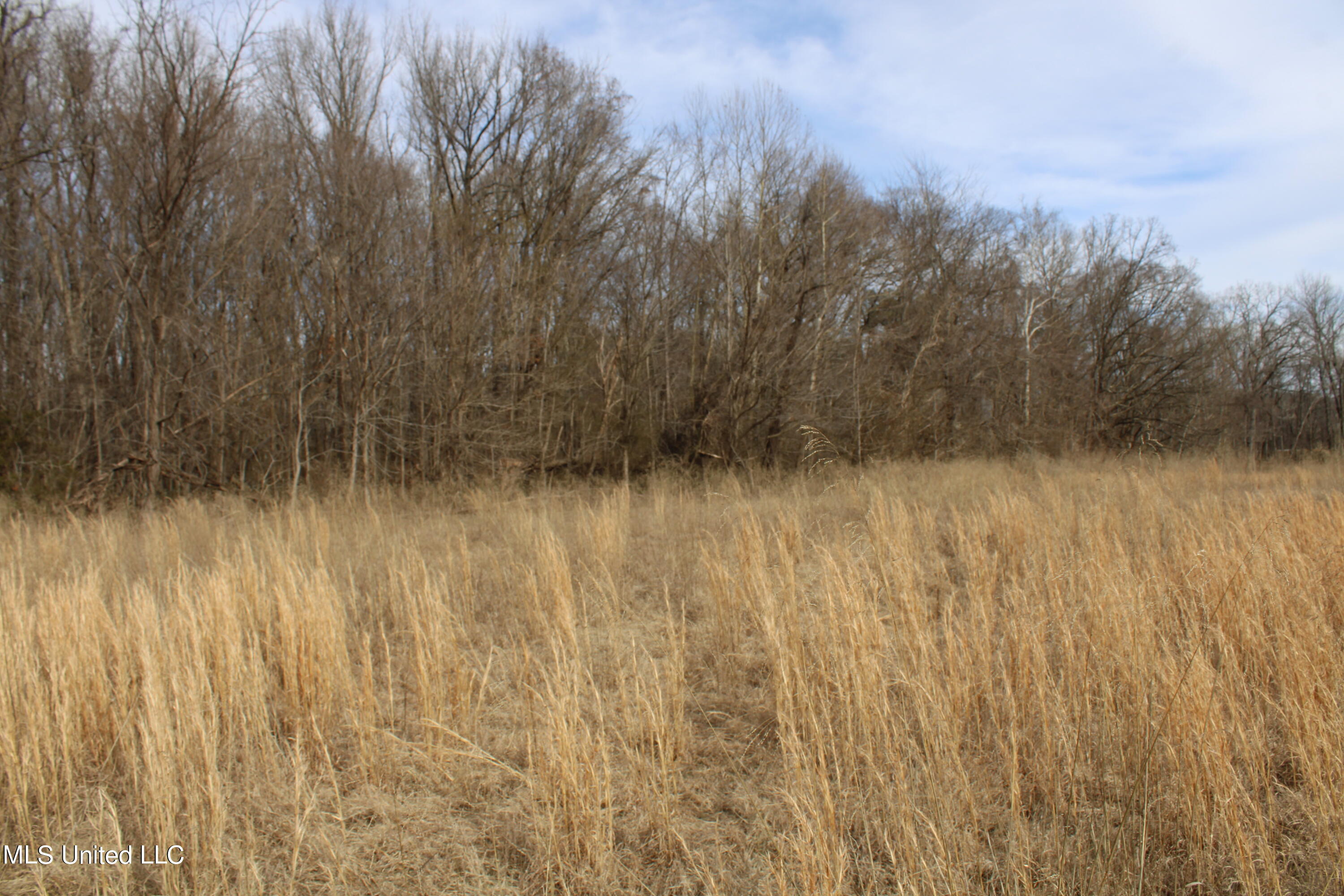 2167 Hogan Road Property Photo 14
