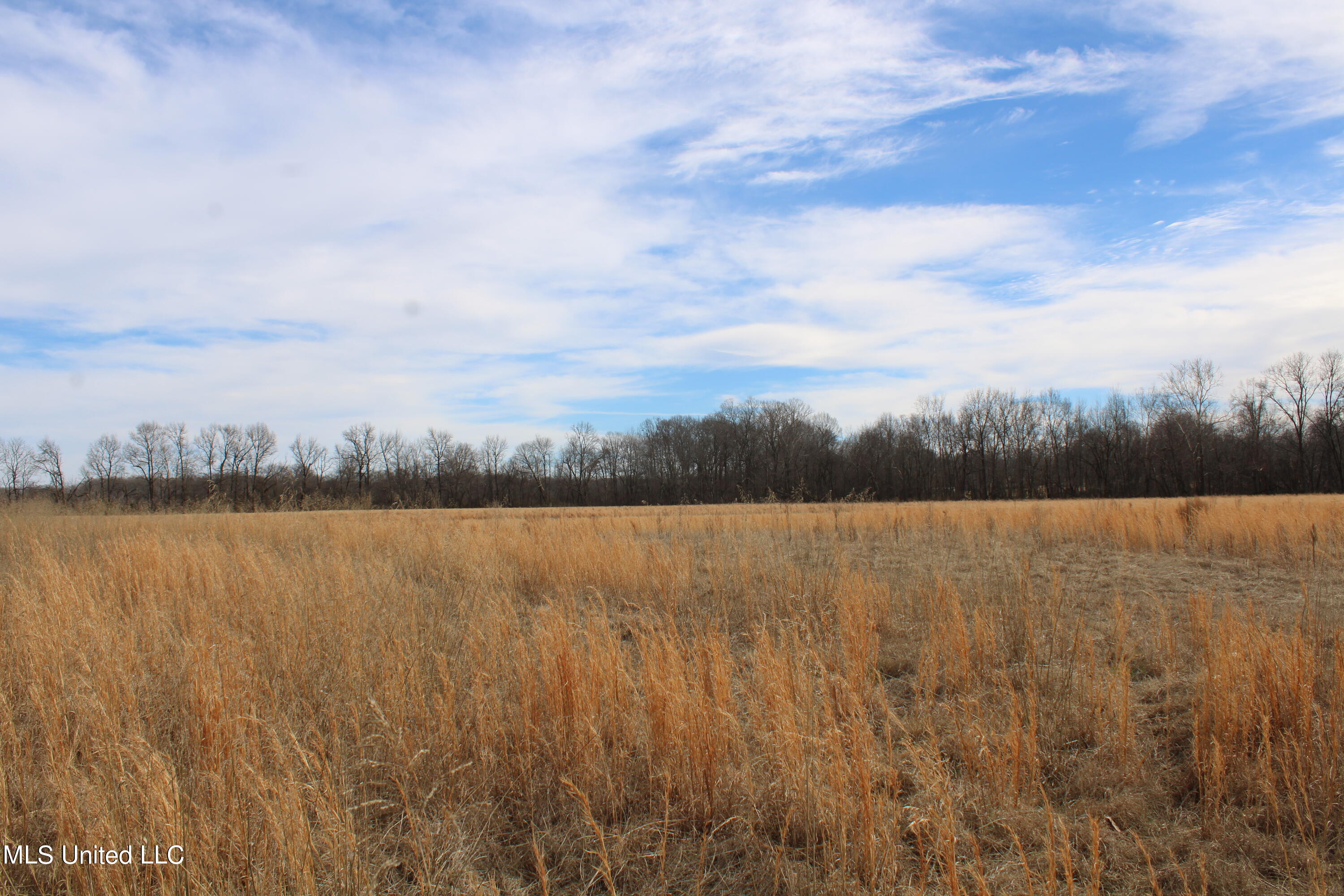 2167 Hogan Road Property Photo 15