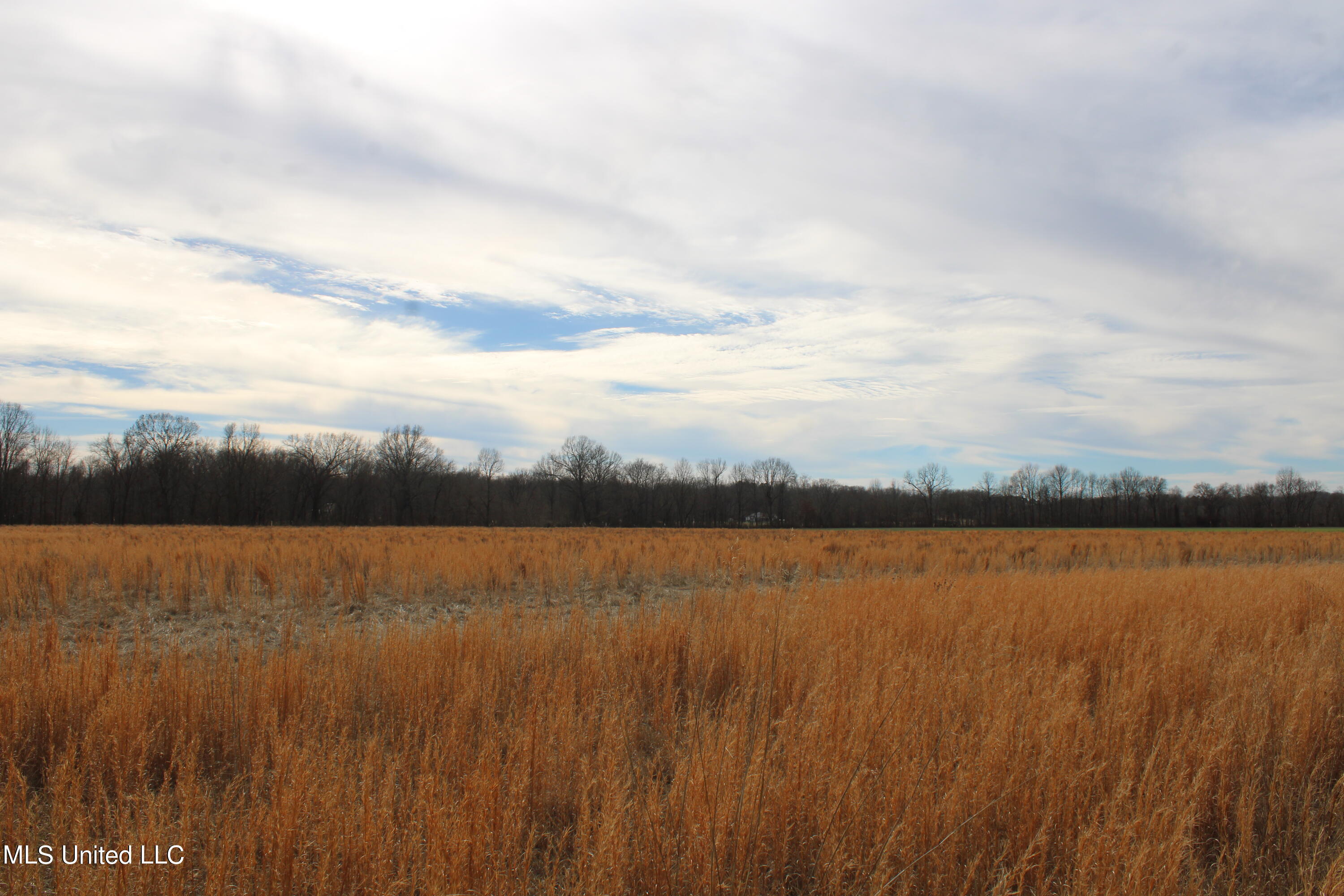 2167 Hogan Road Property Photo 16