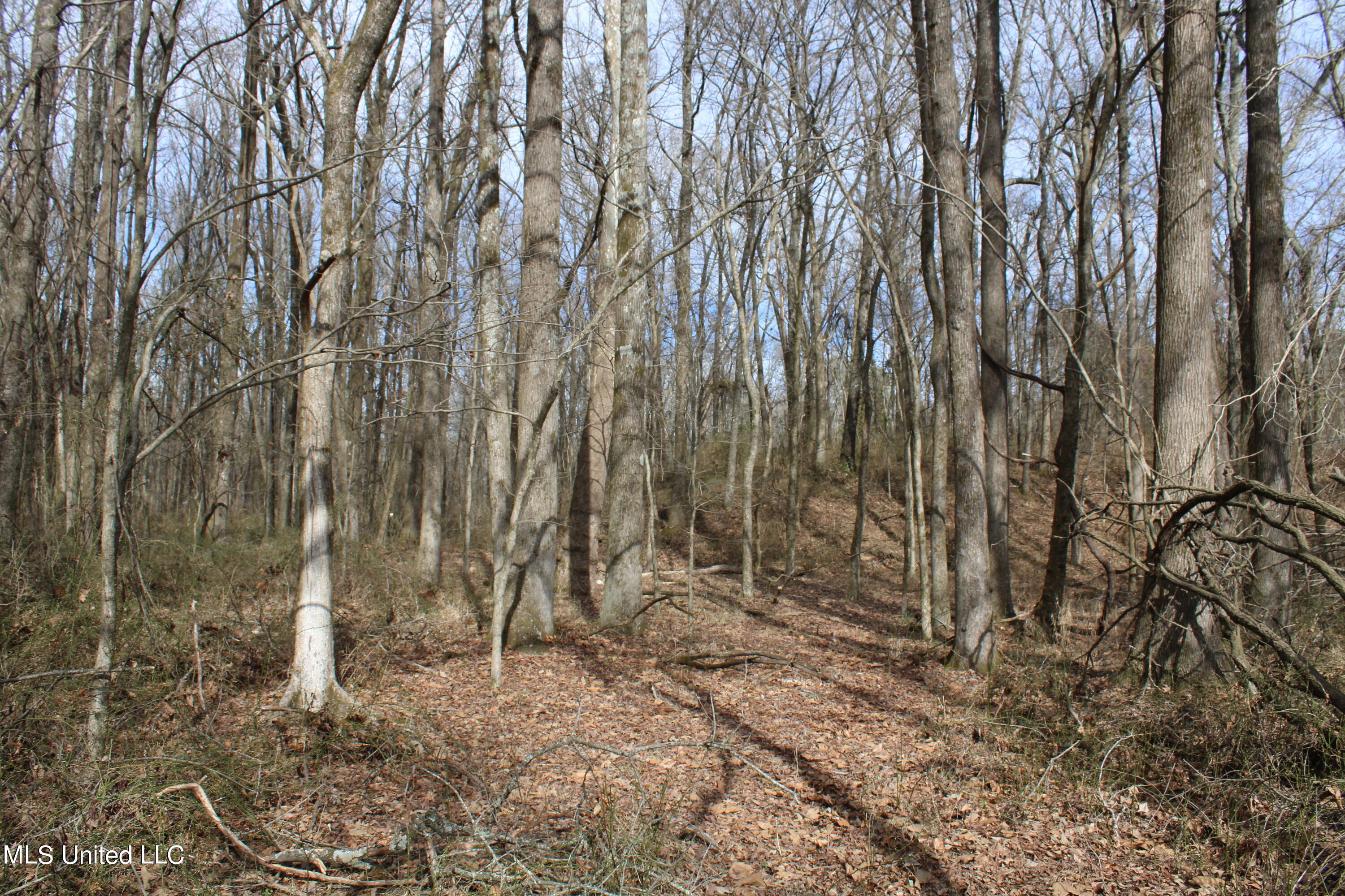 2167 Hogan Road Property Photo 17