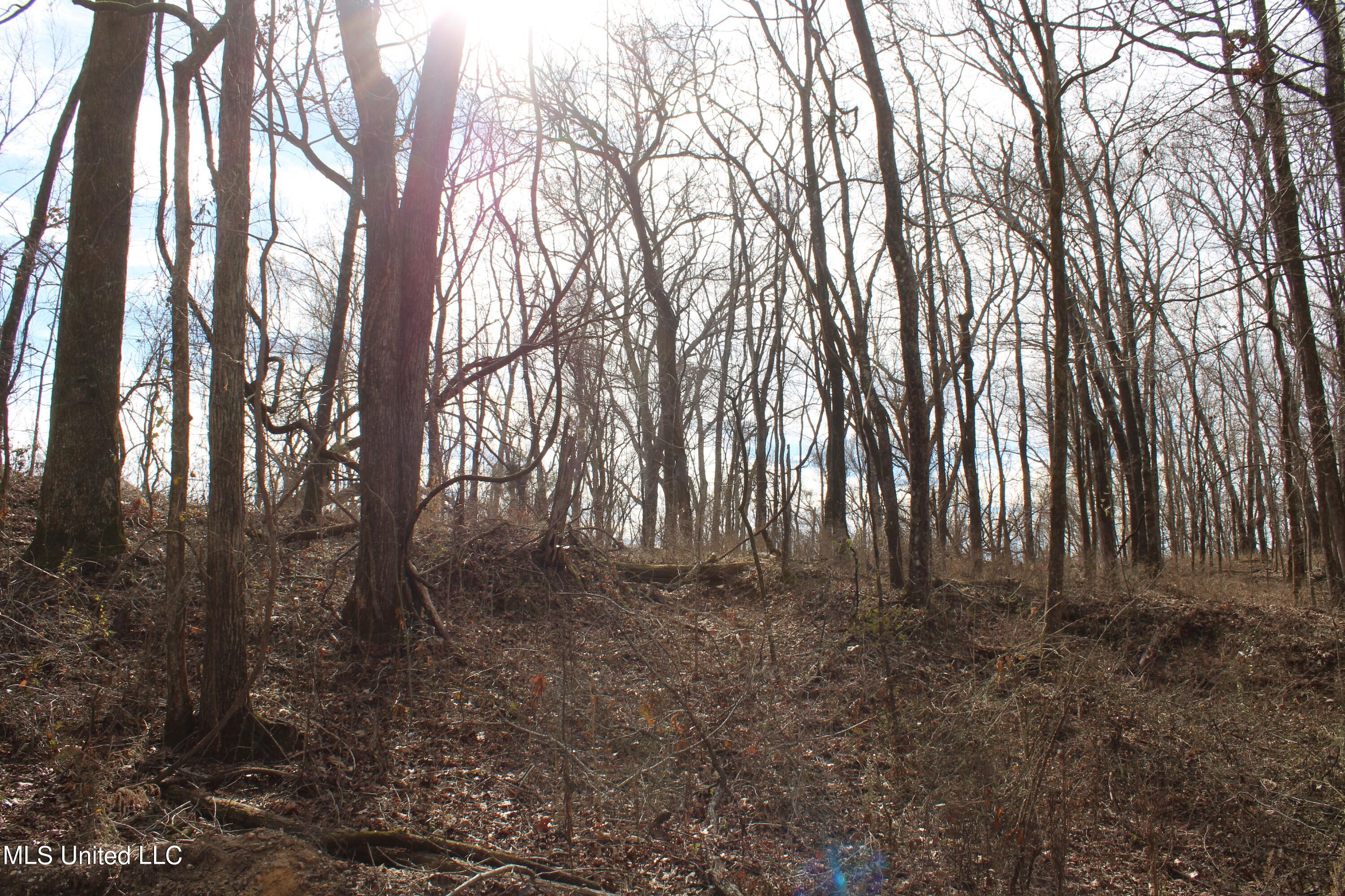 2167 Hogan Road Property Photo 19