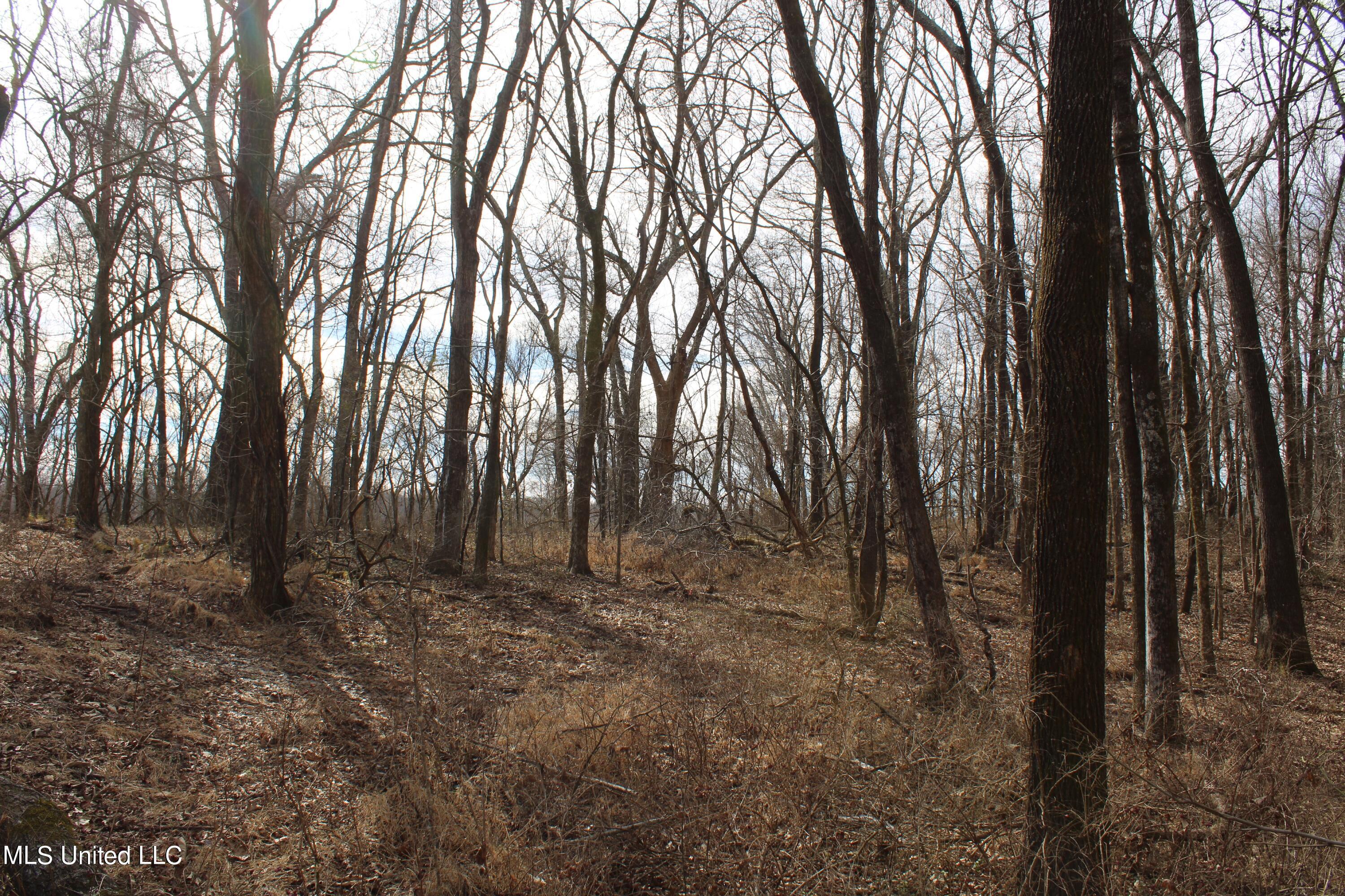 2167 Hogan Road Property Photo 20