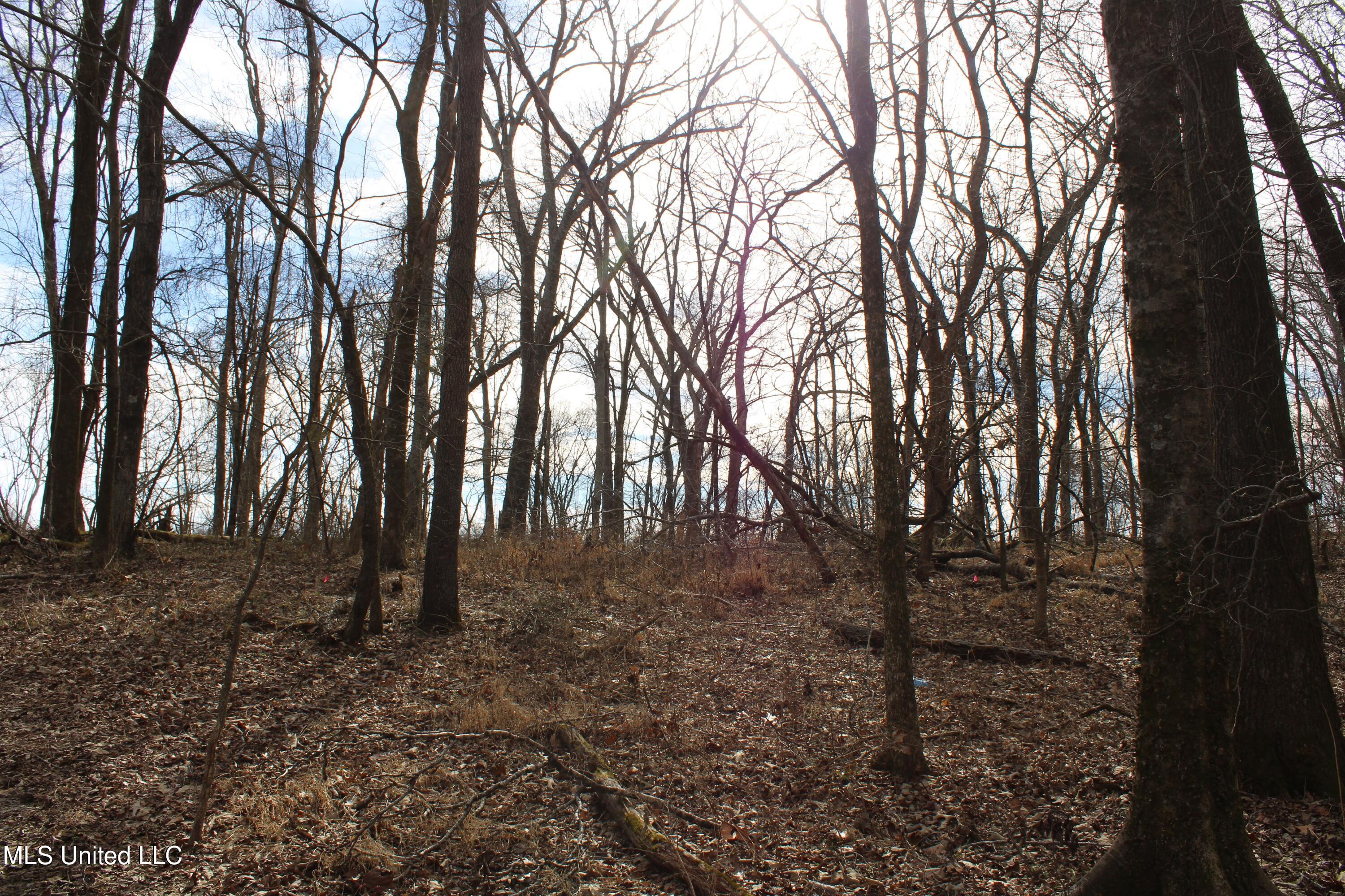 2167 Hogan Road Property Photo 21