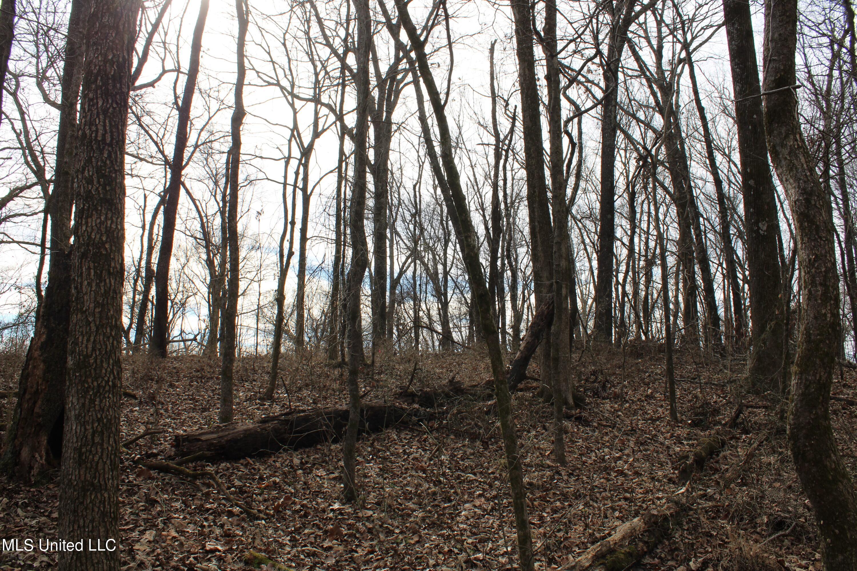 2167 Hogan Road Property Photo 22