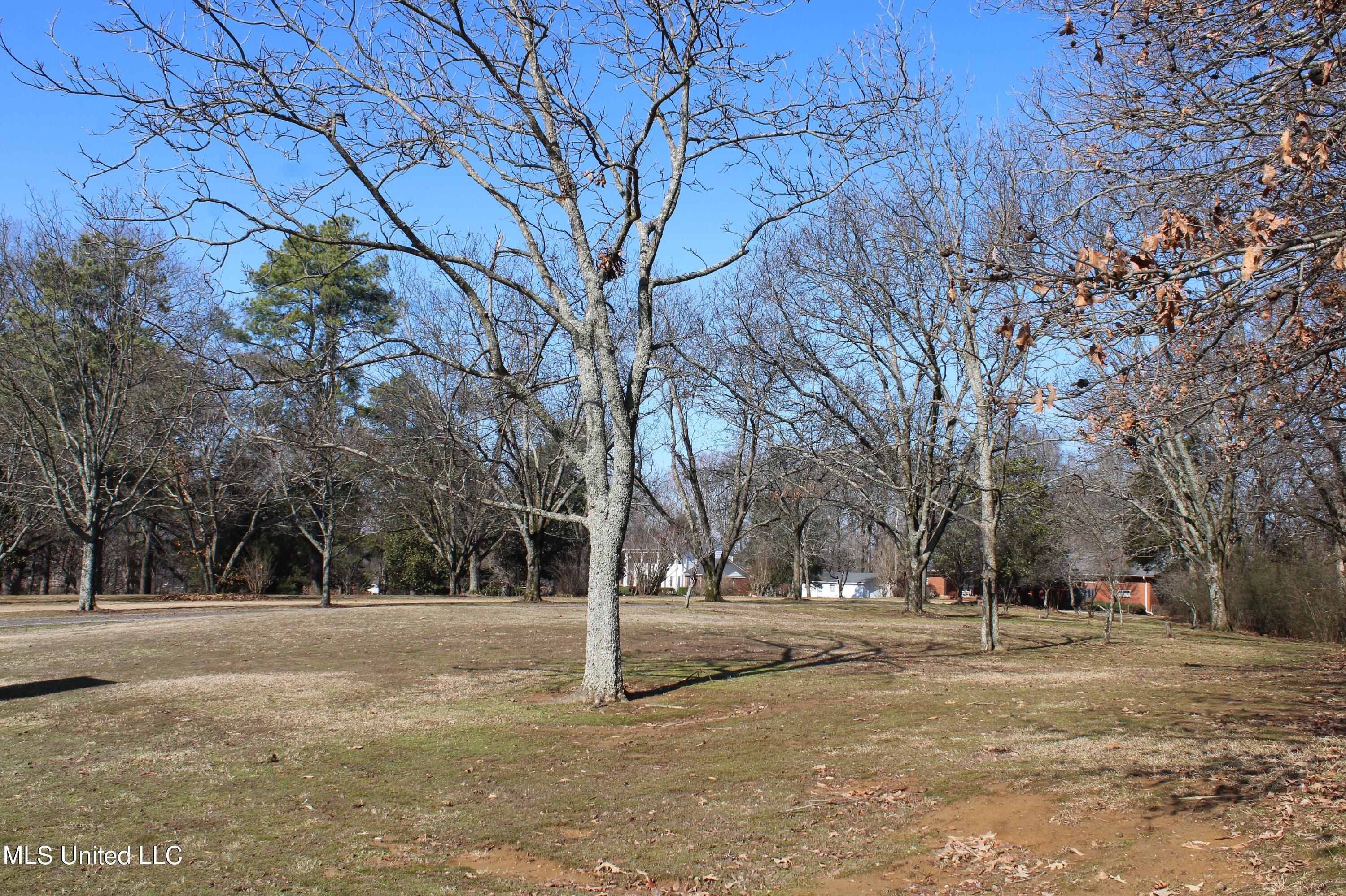 8568 Goodman Road Property Photo 7