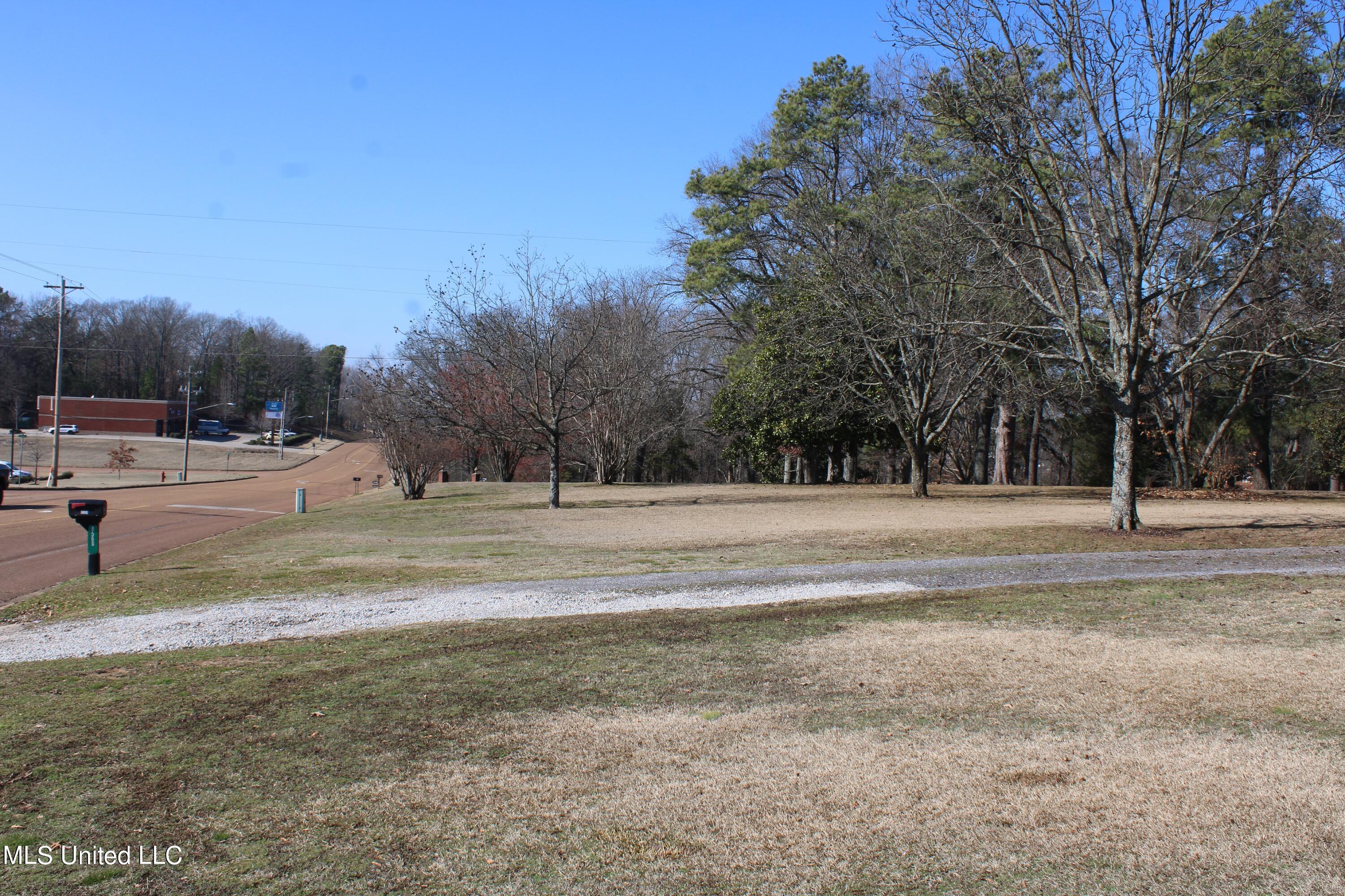 8568 Goodman Road Property Photo 8