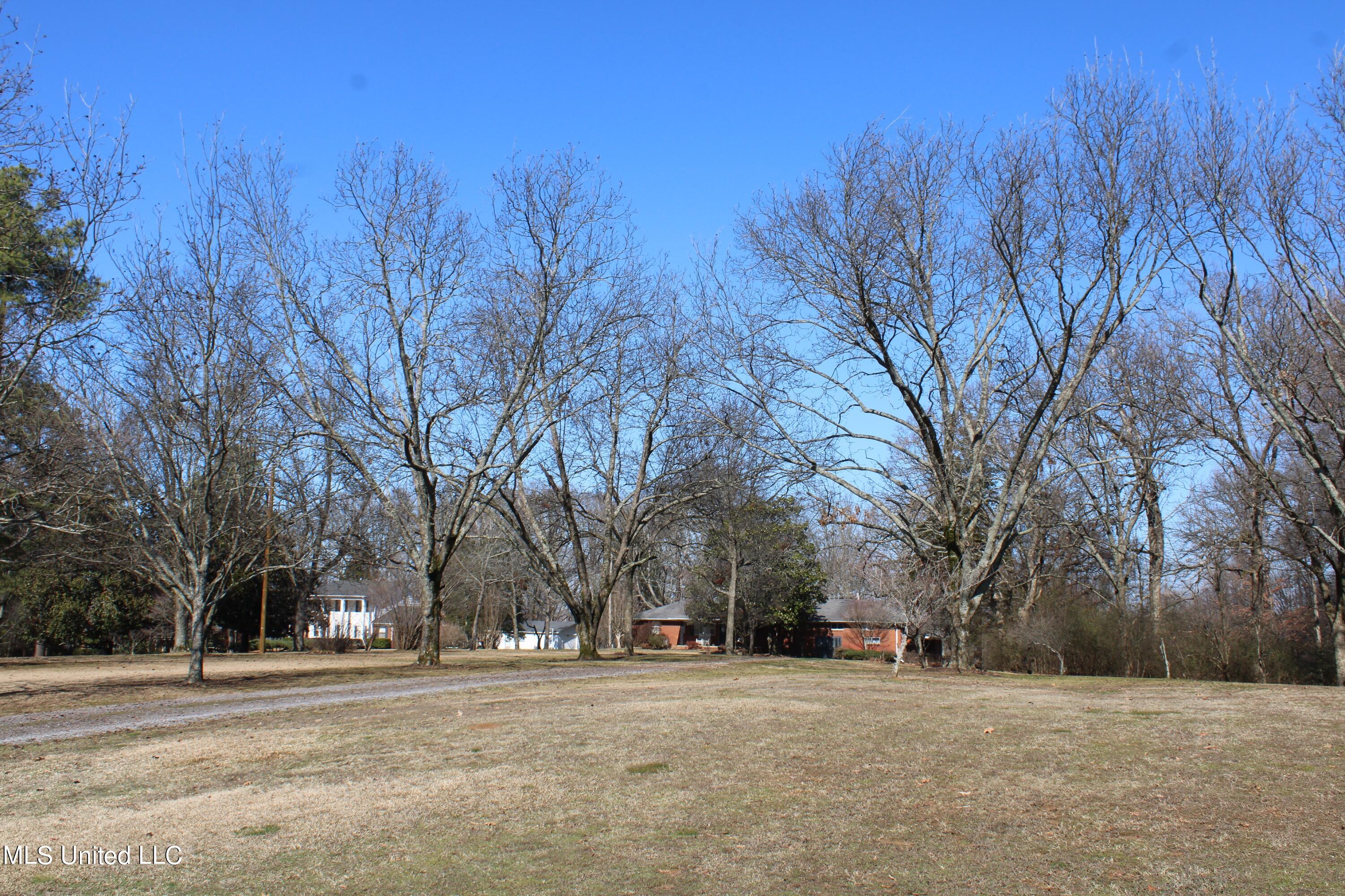 8568 Goodman Road Property Photo 9