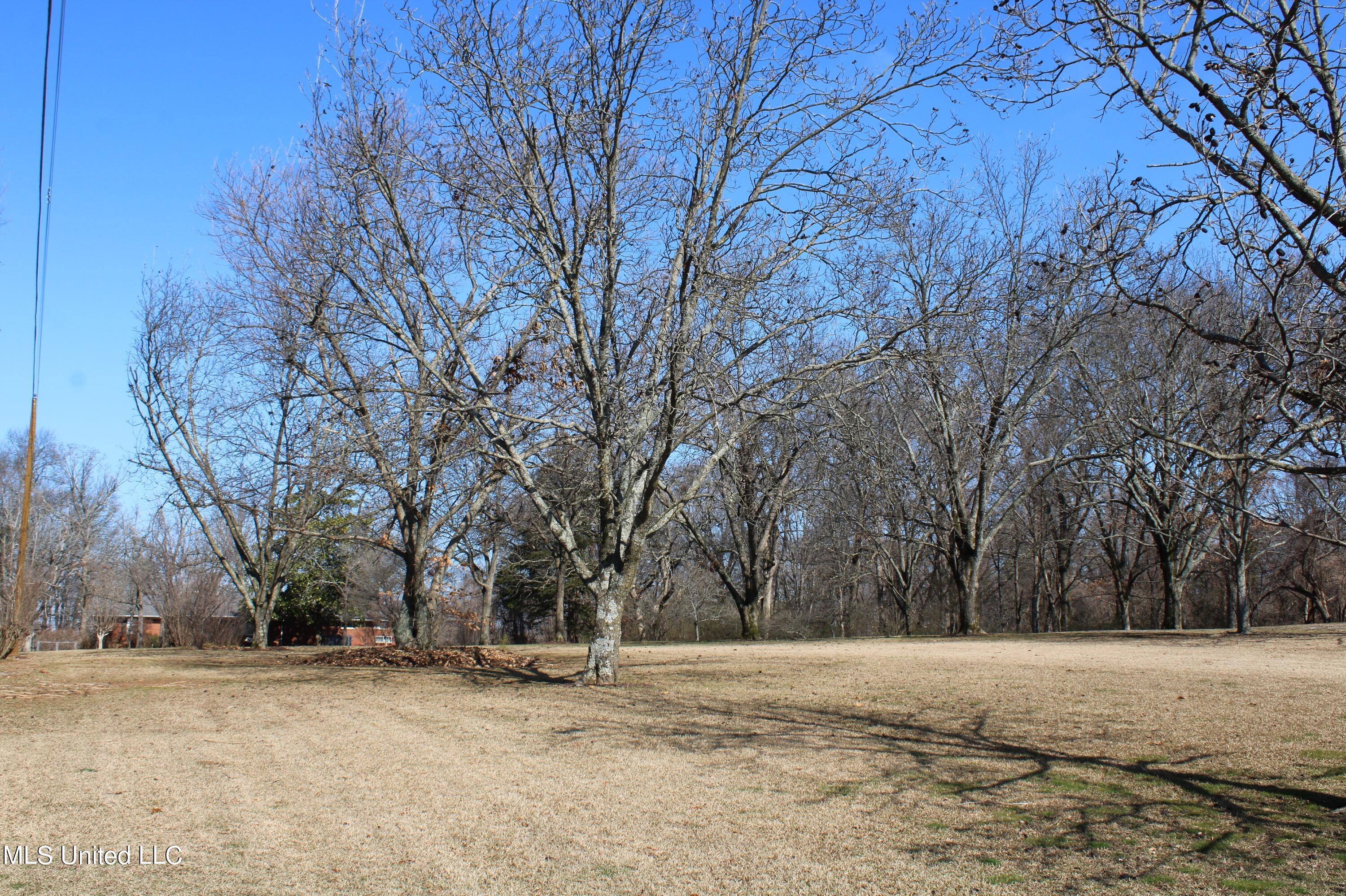 8568 Goodman Road Property Photo 10