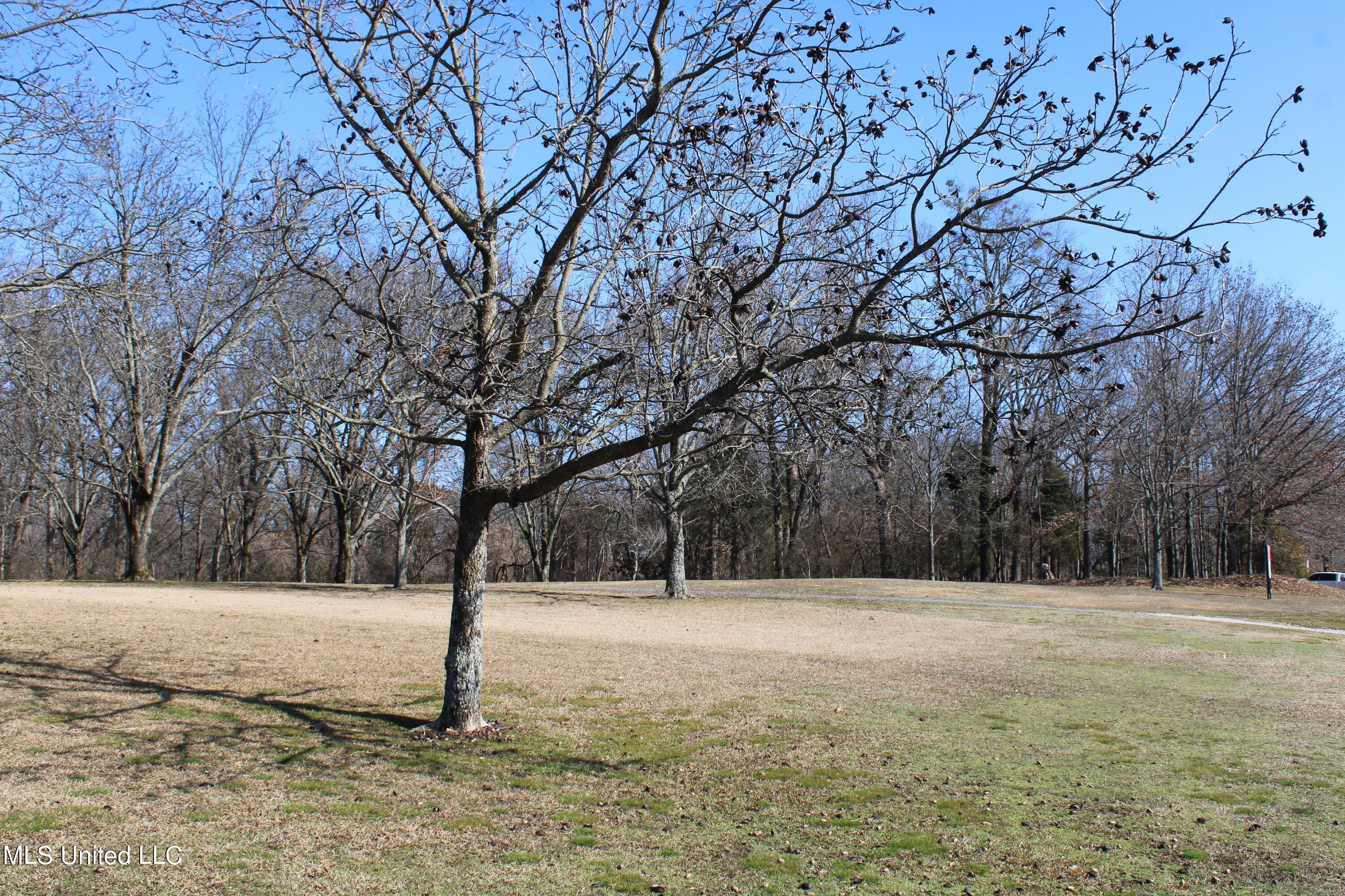 8568 Goodman Road Property Photo 11