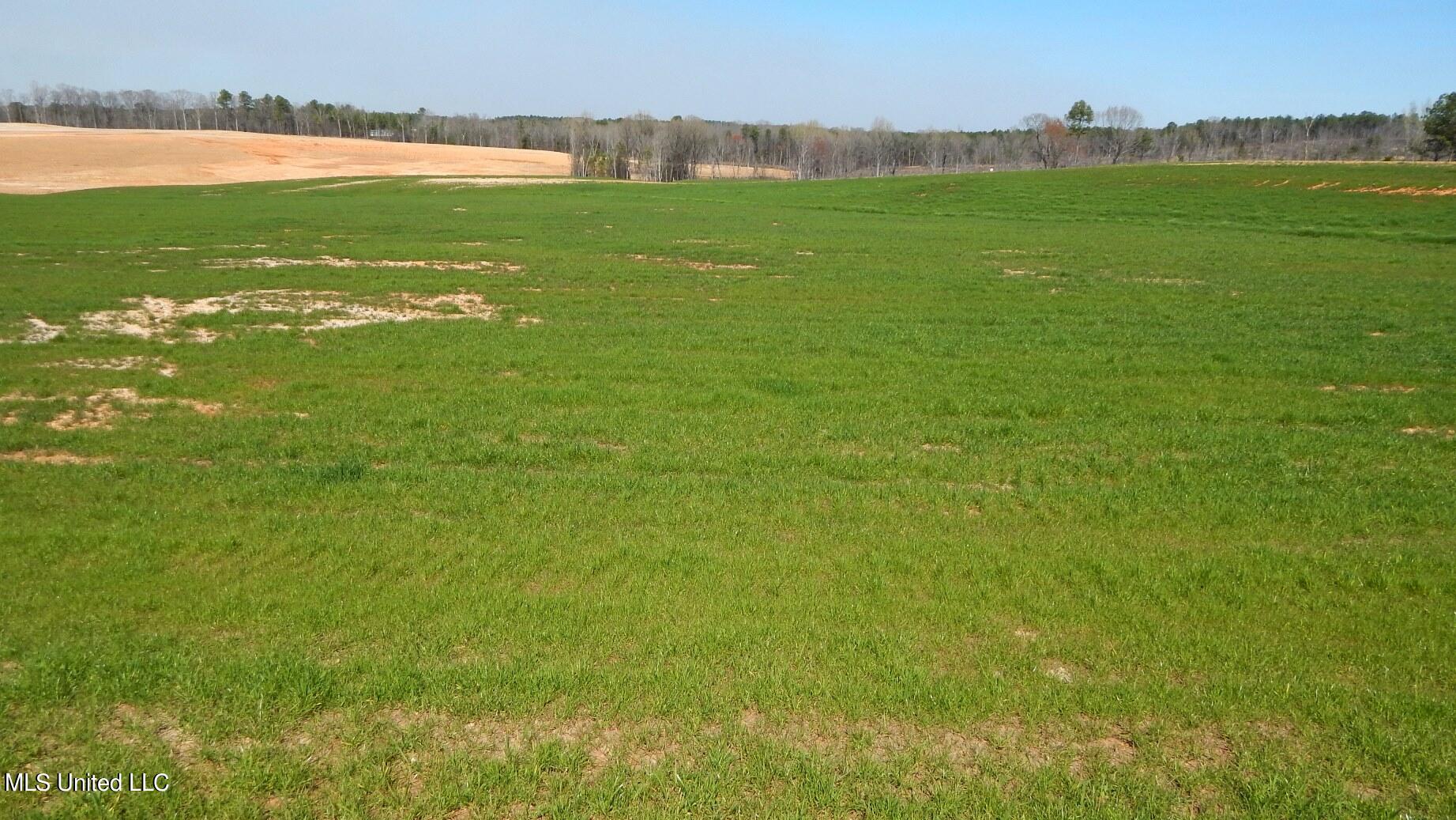 6 Graysport Crossing Road Property Photo 3