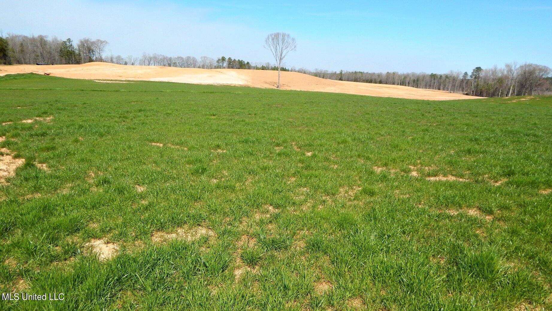 769 Graysport Crossing Road Property Photo 4