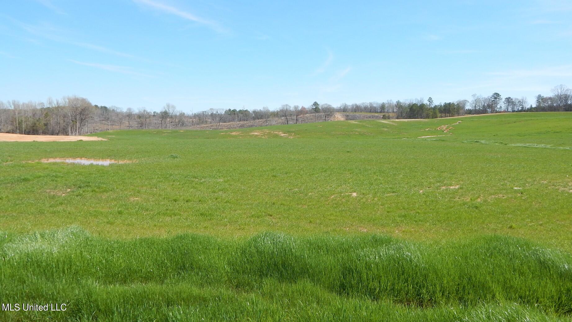 779 Graysport Crossing Road Property Photo 2