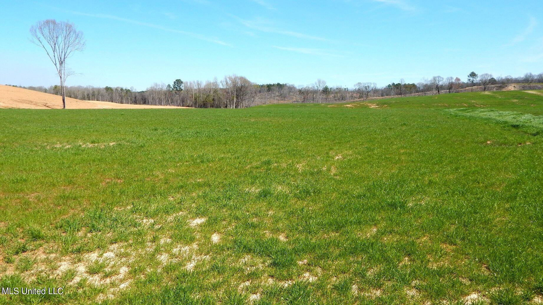 779 Graysport Crossing Road Property Photo 3