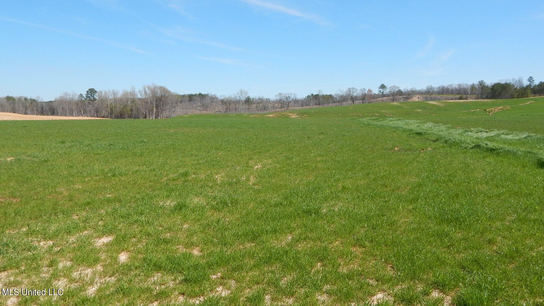 779 Graysport Crossing Road Property Photo 4