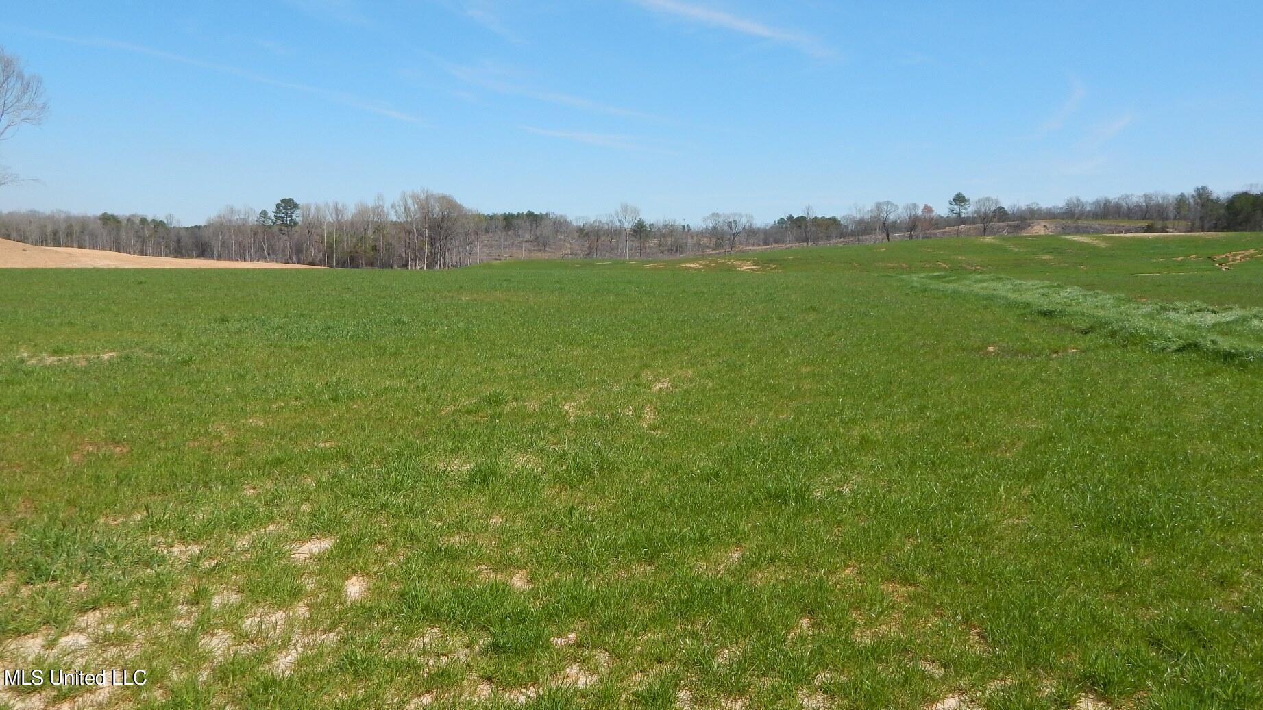 779 Graysport Crossing Road Property Photo 5