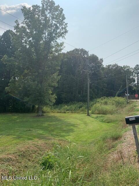 3049 Pleasant Hill Road Property Photo 15